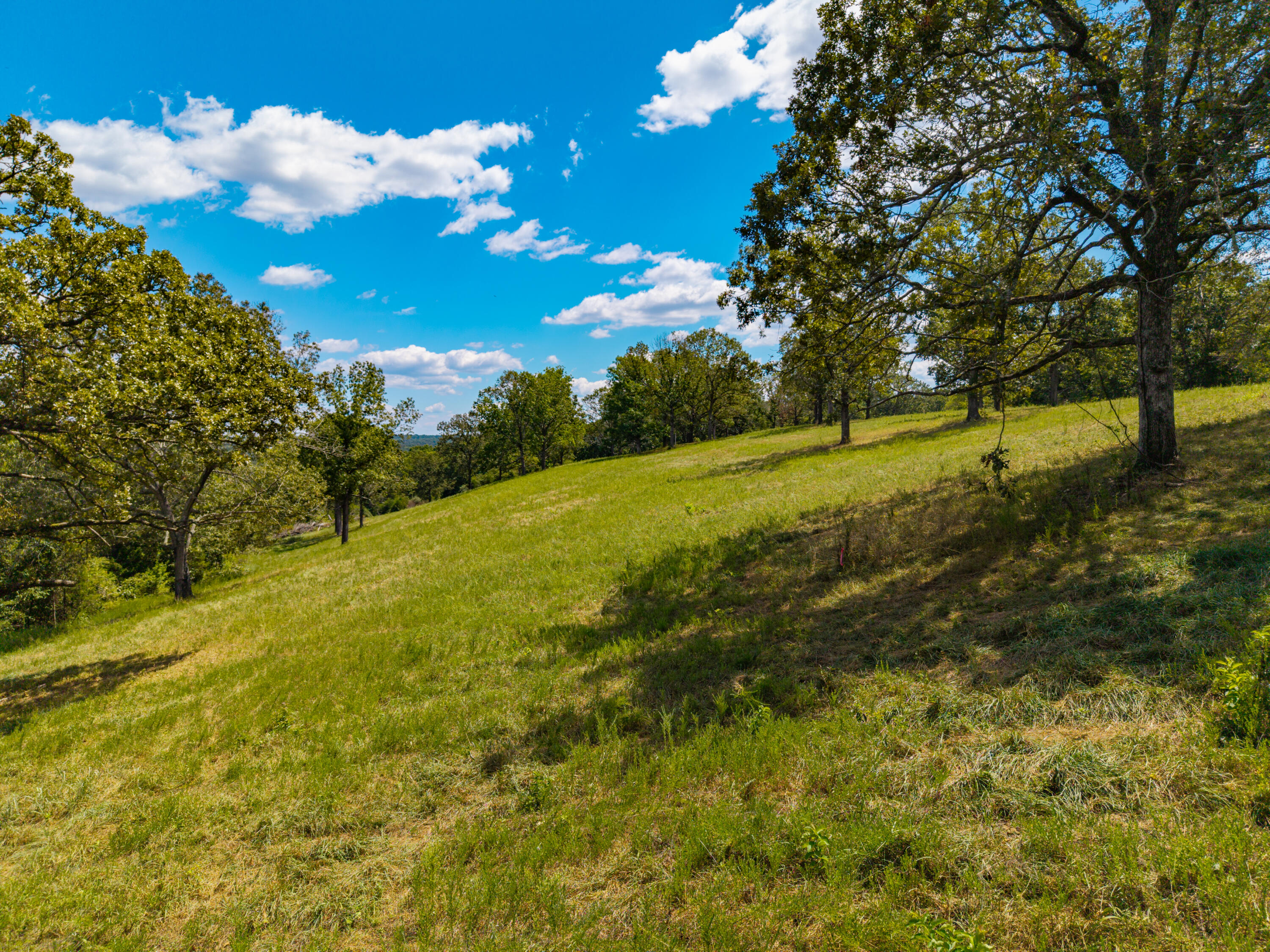 Lot 2 County Road 635 Property Photo 17