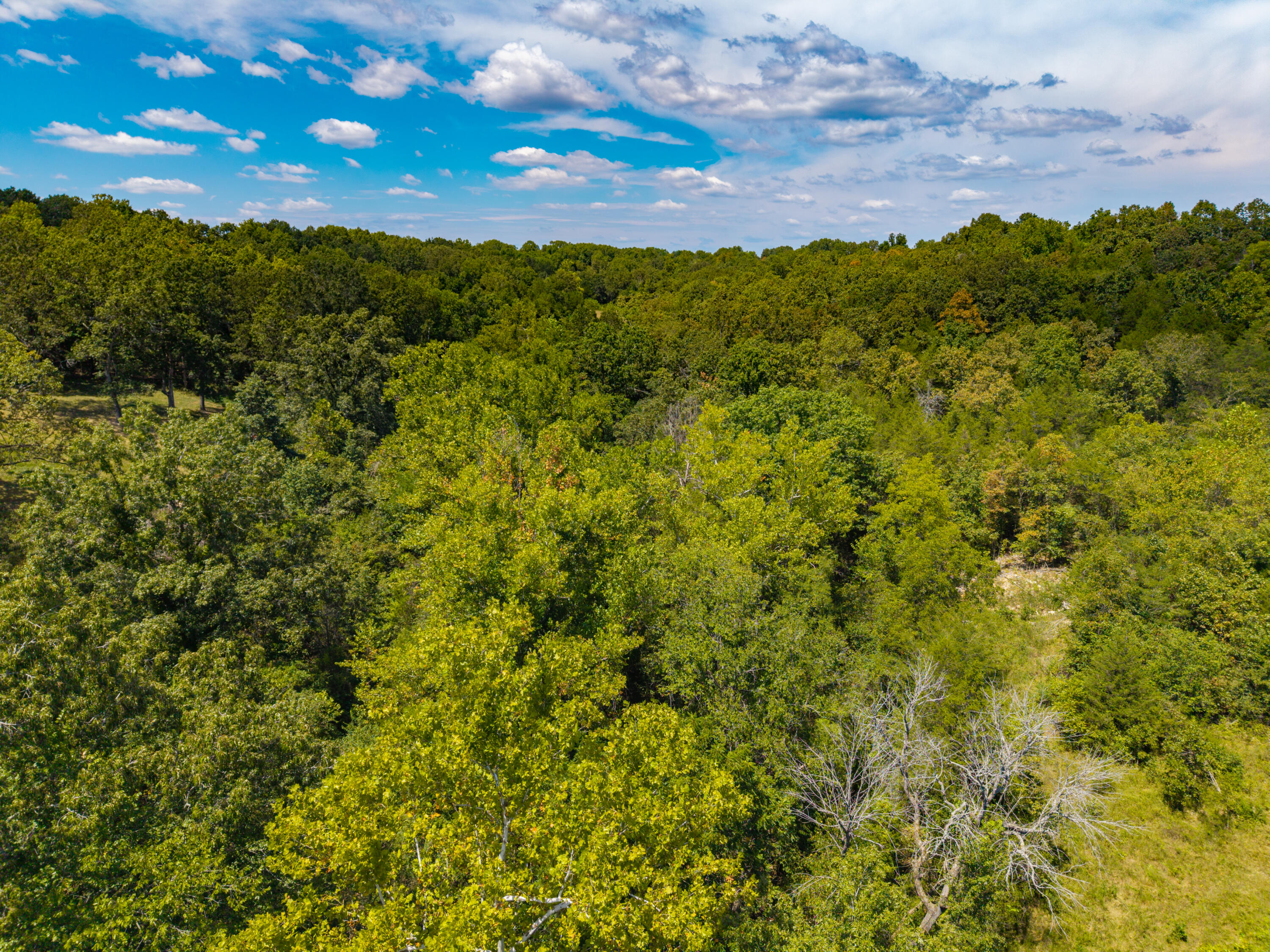 Lot 2 County Road 635 Property Photo 20