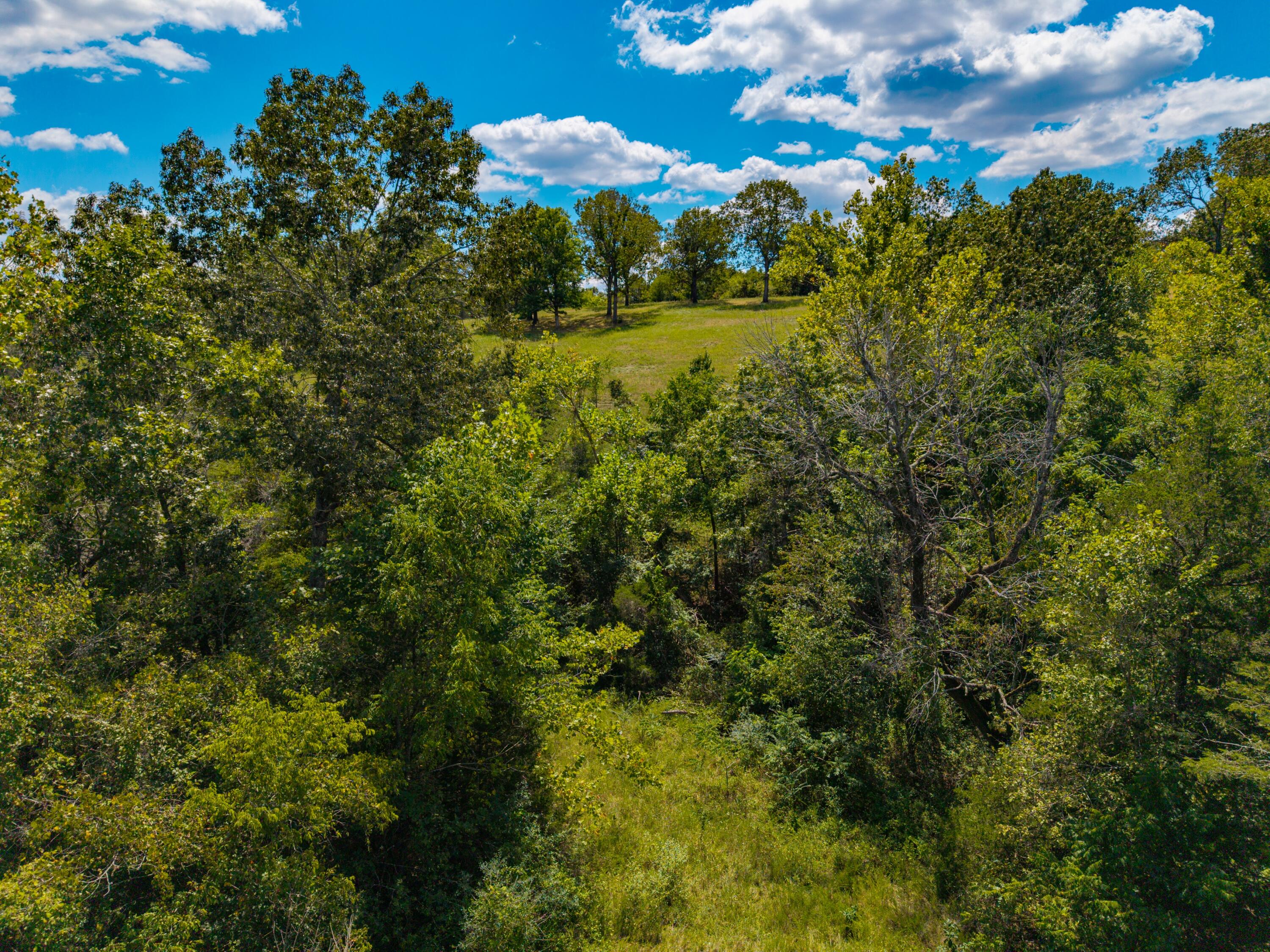 Lot 2 County Road 635 Property Photo 21