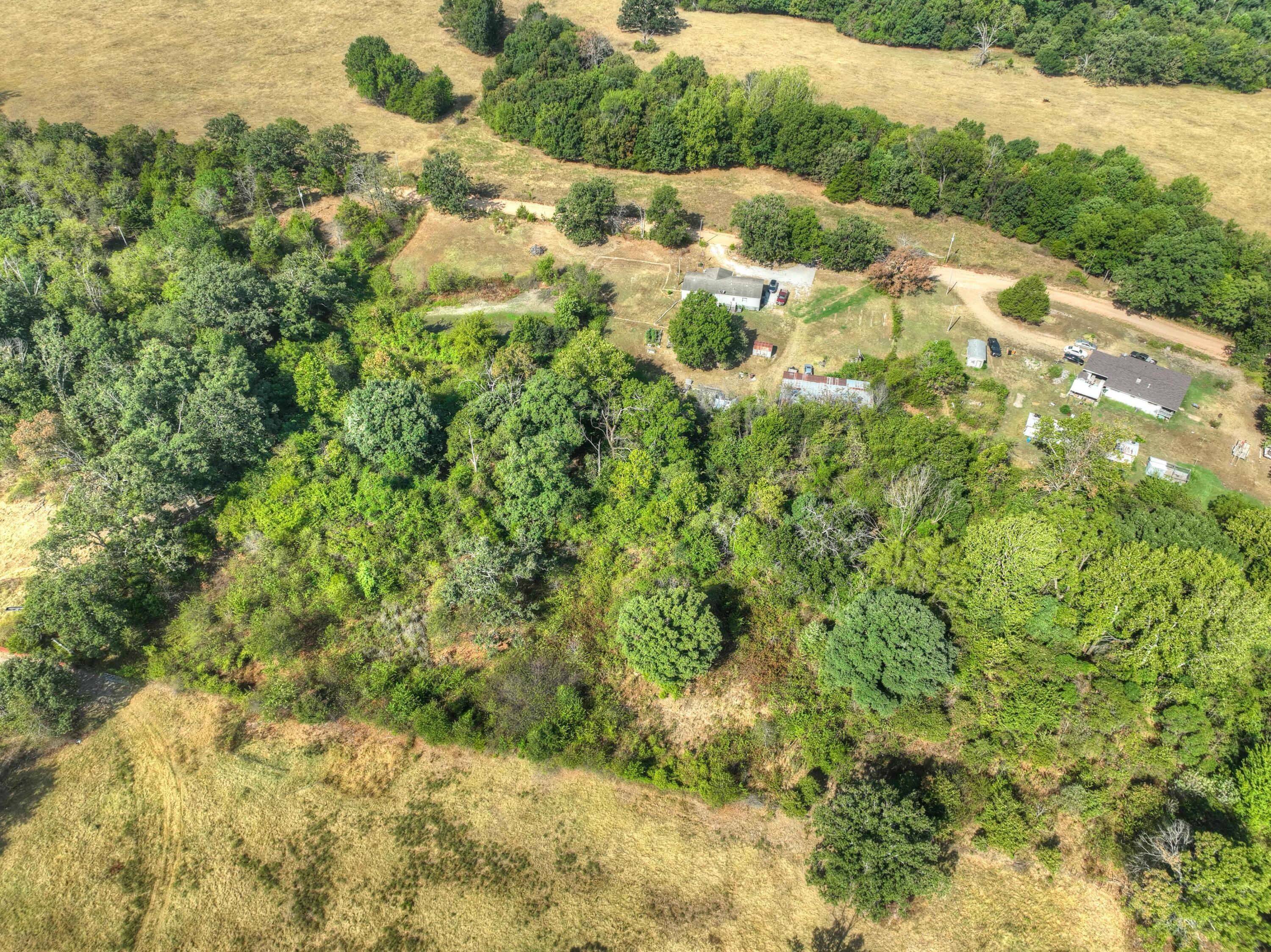 1634 Morrison Loop Property Photo 43