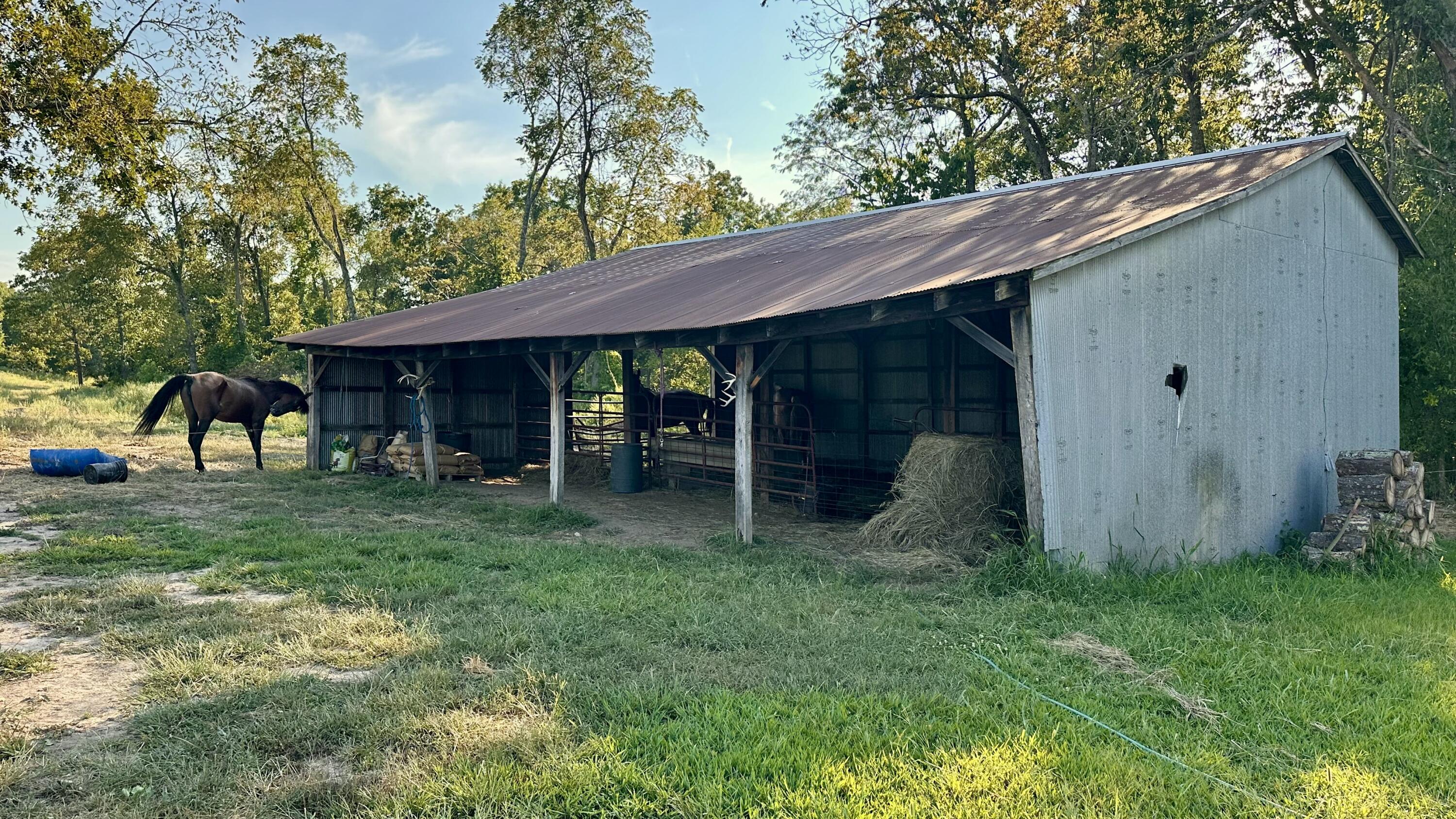 8301 Creek Road Property Photo 3