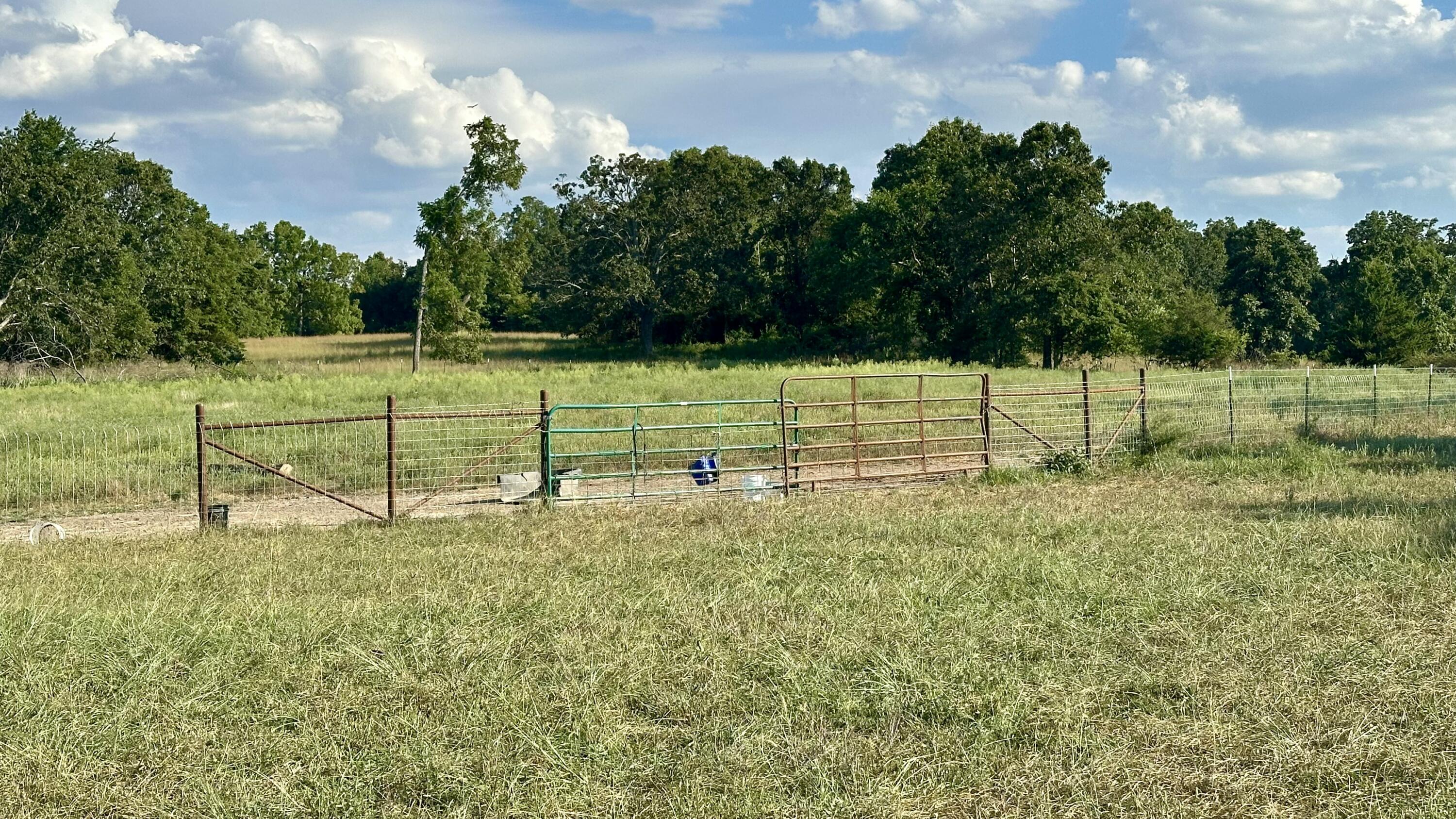 8301 Creek Road Property Photo 31