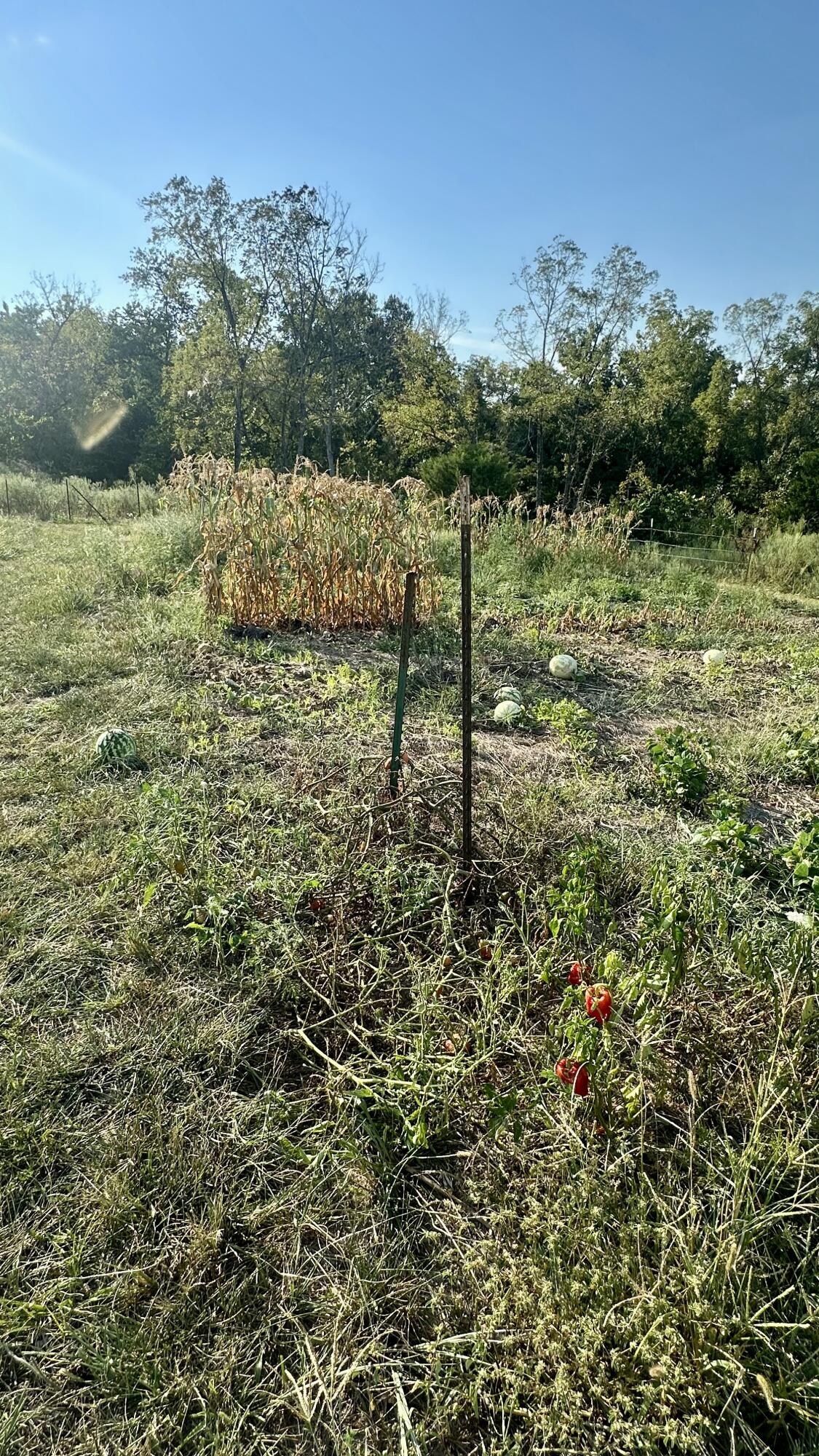 8301 Creek Road Property Photo 35