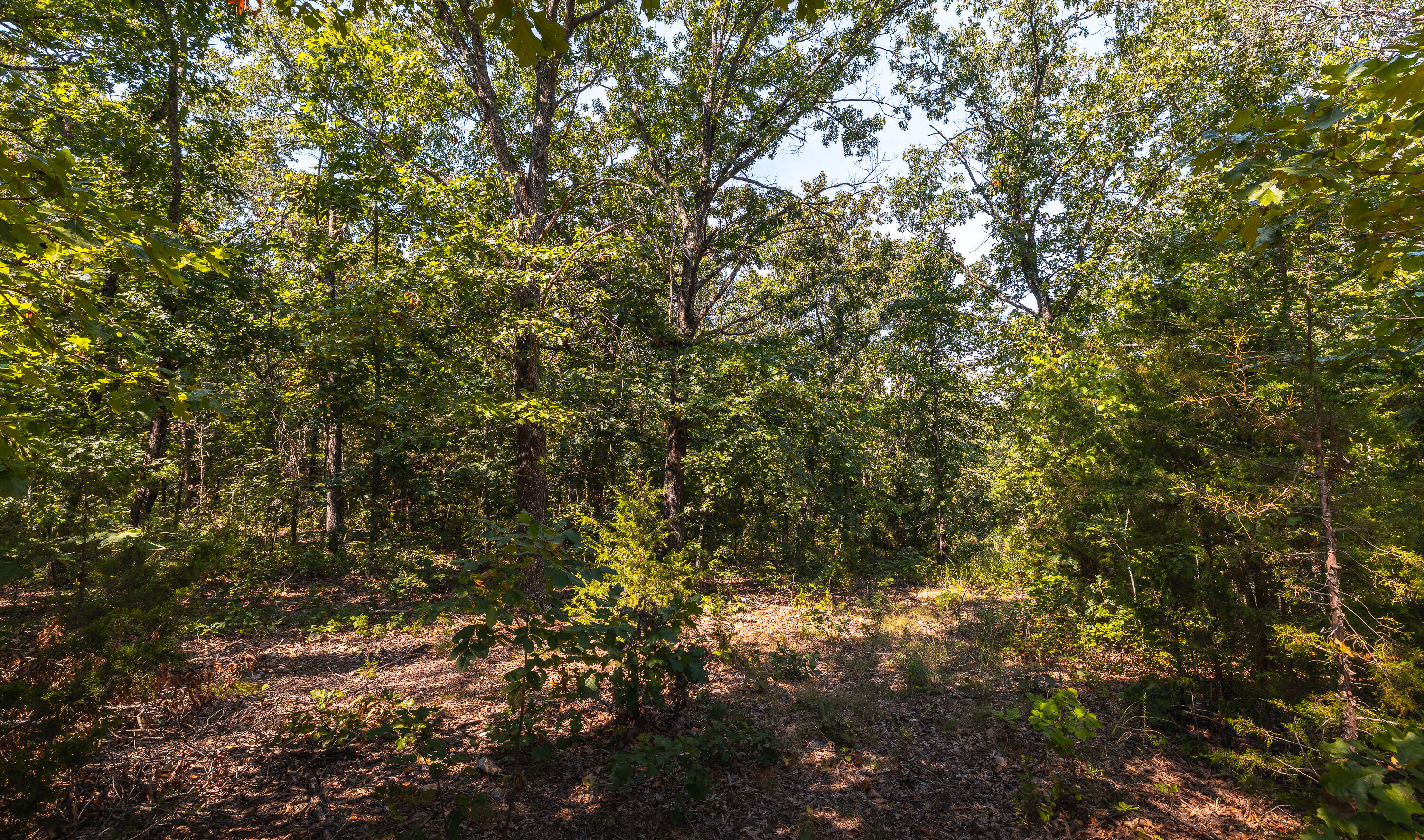 9570 Northeast Highway 82 Property Photo 21