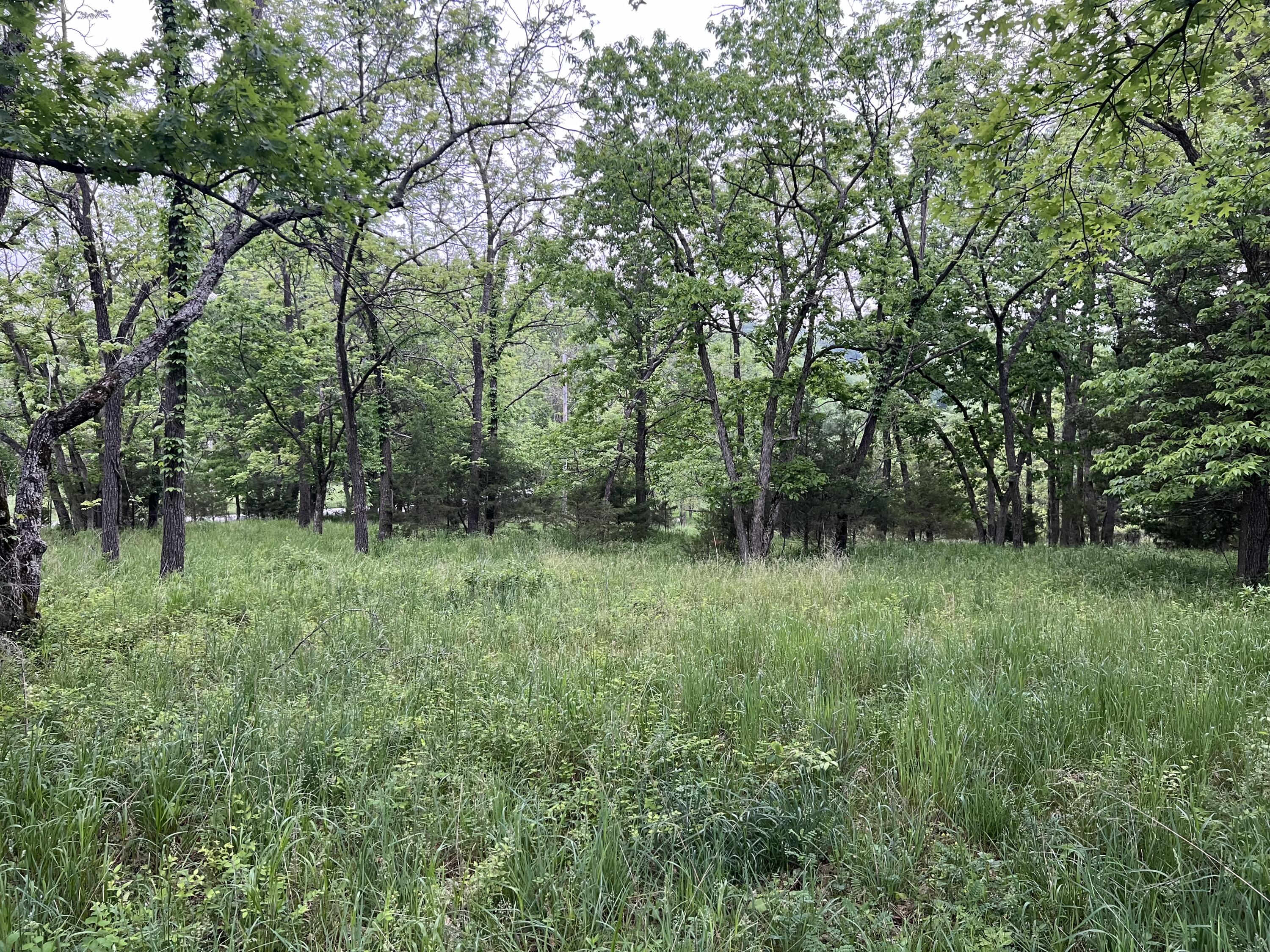 000 Fi Anna Lane Property Photo 10