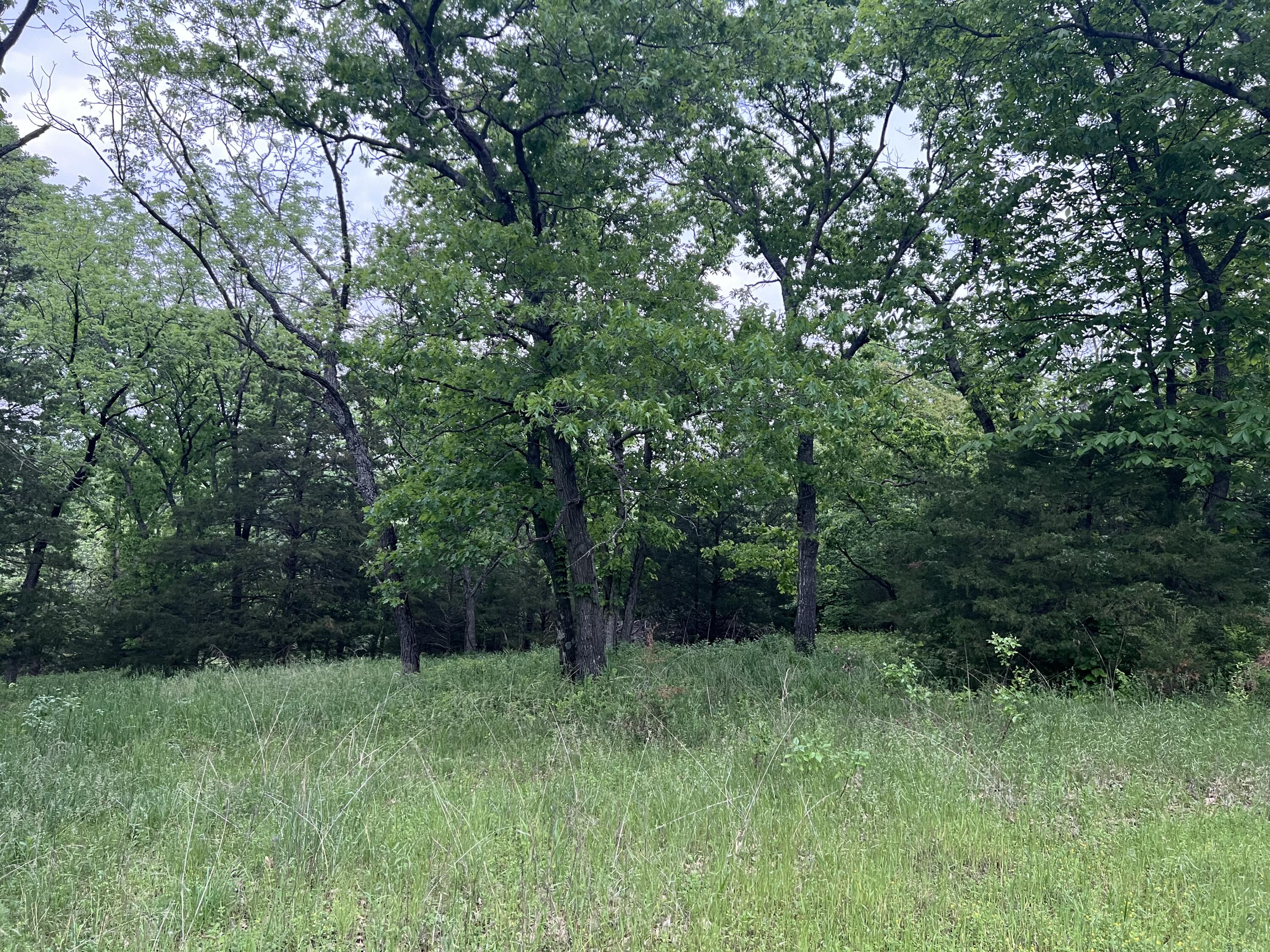 000 Fi Anna Lane Property Photo 11