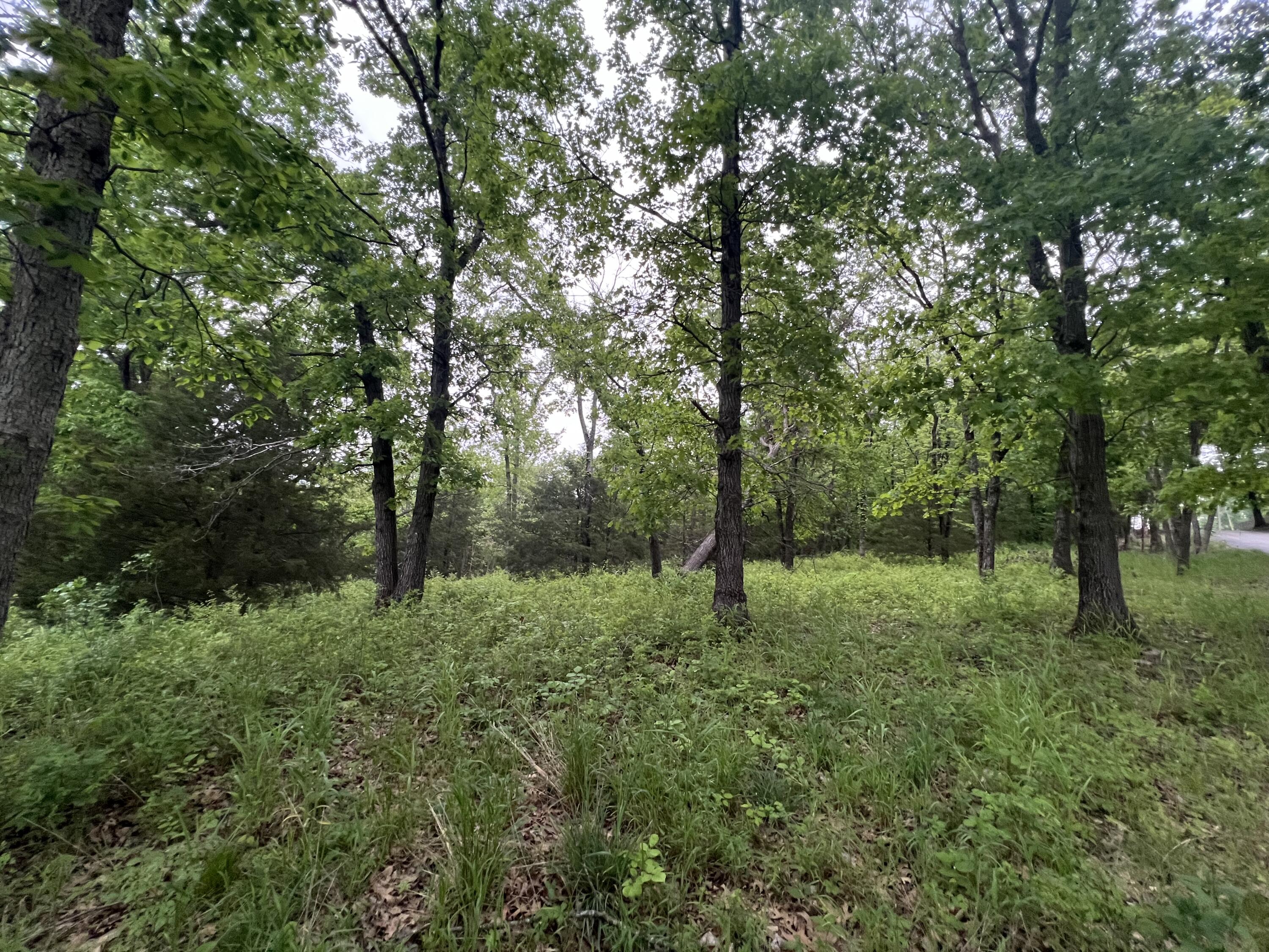 000 Fi Anna Lane Property Photo 13