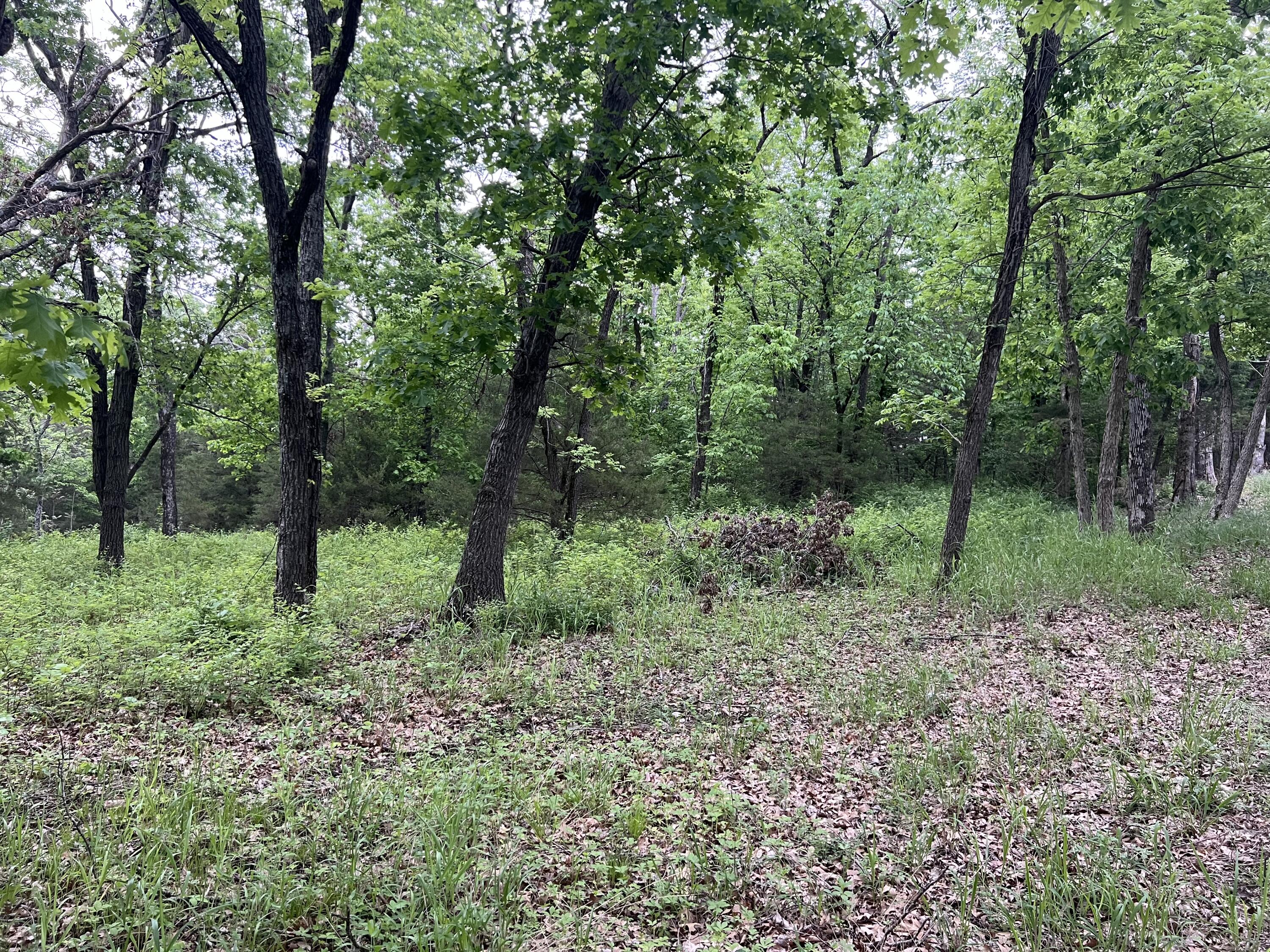 000 Fi Anna Lane Property Photo 15
