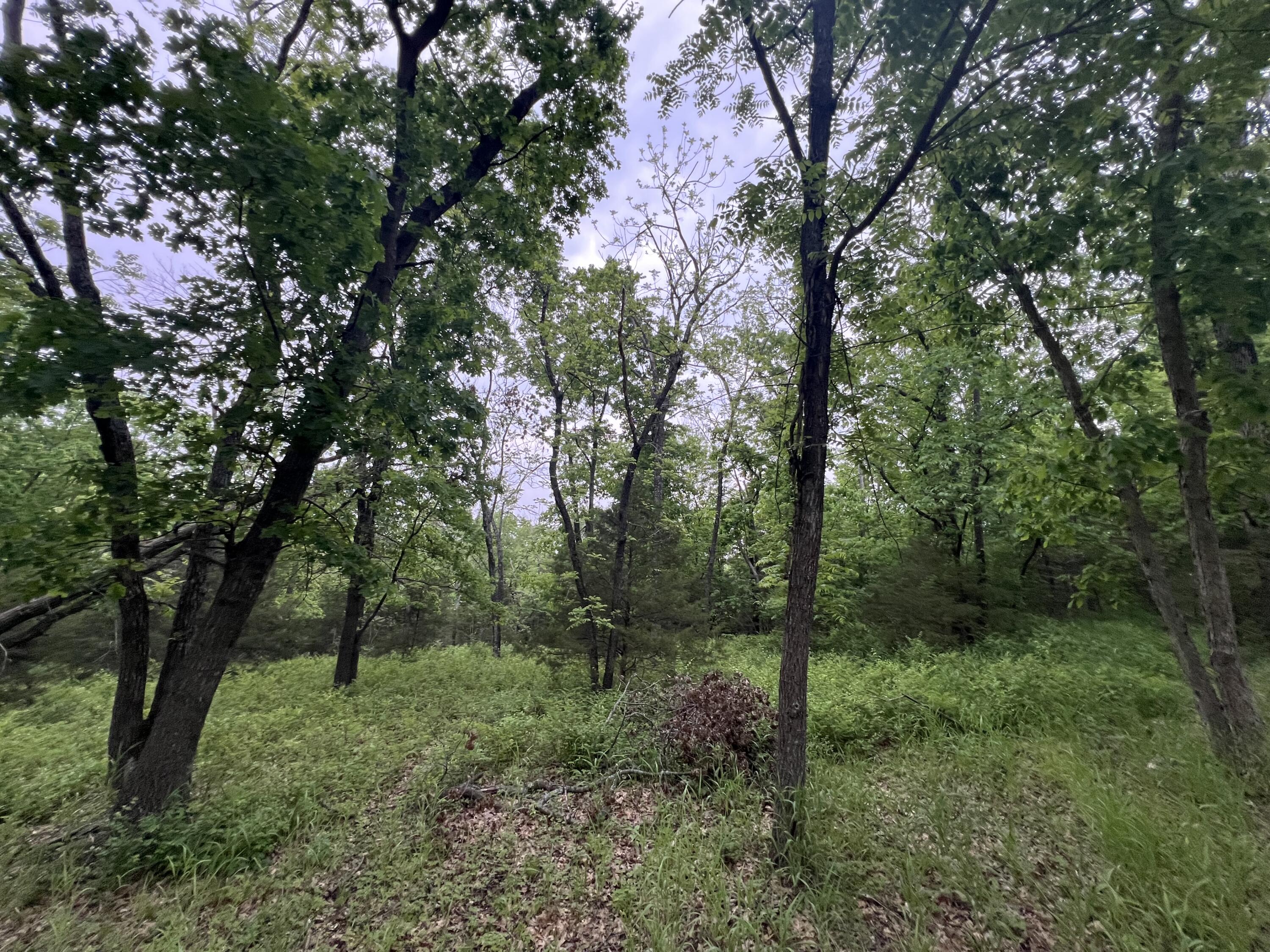 000 Fi Anna Lane Property Photo 16