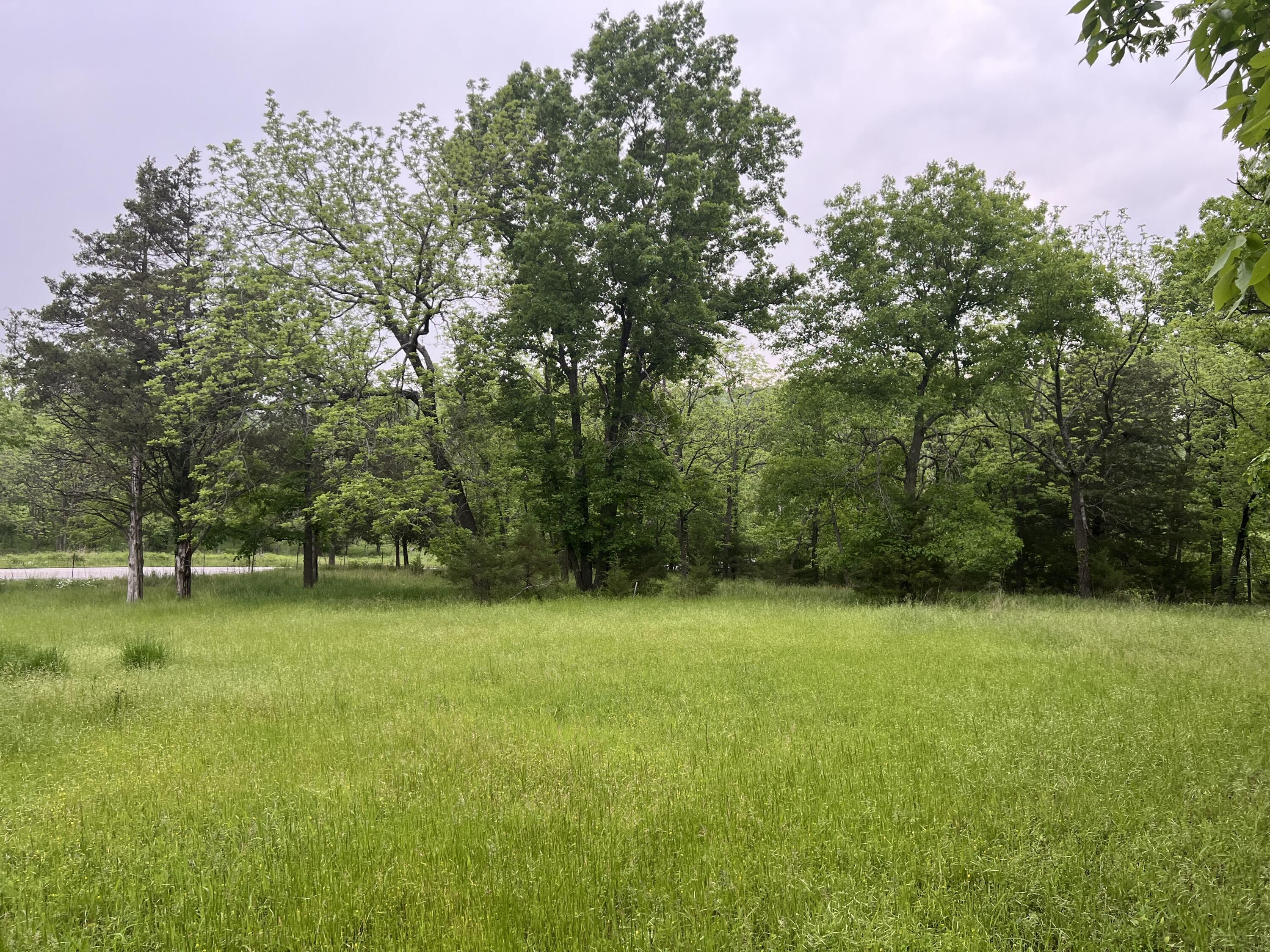 000 Fi Anna Lane Property Photo 19