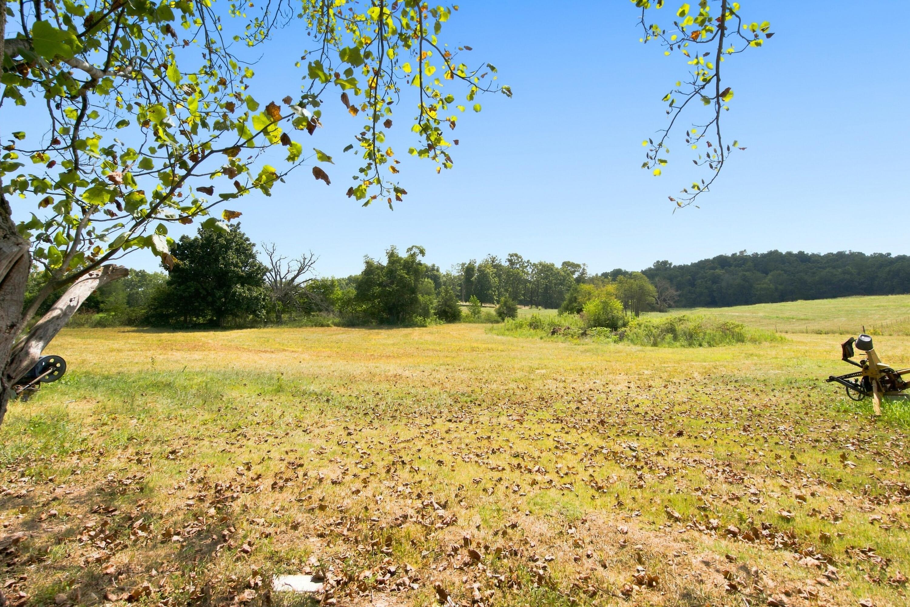 2158 State Highway Jj Property Photo 7