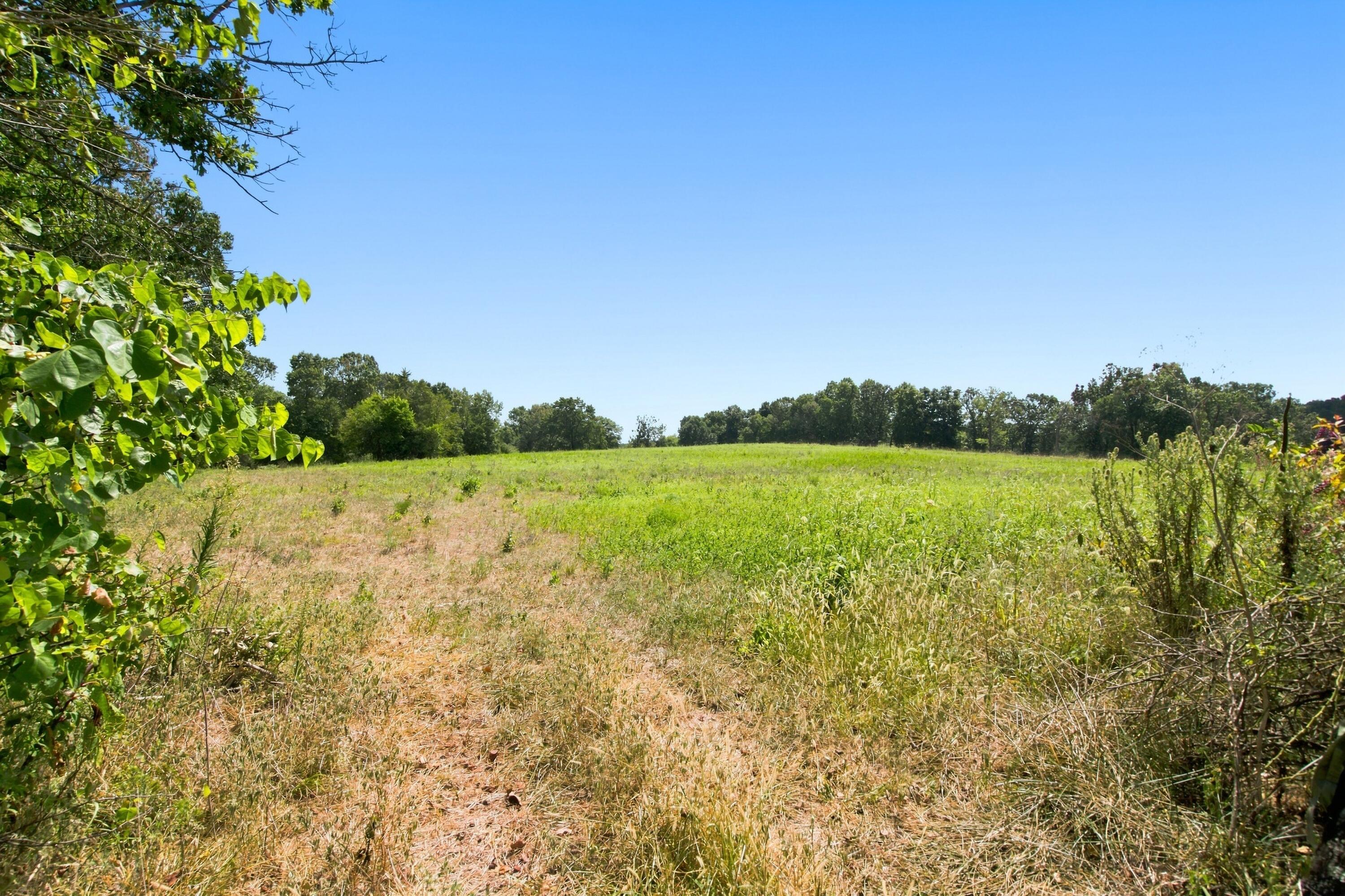 2158 State Highway Jj Property Photo 8