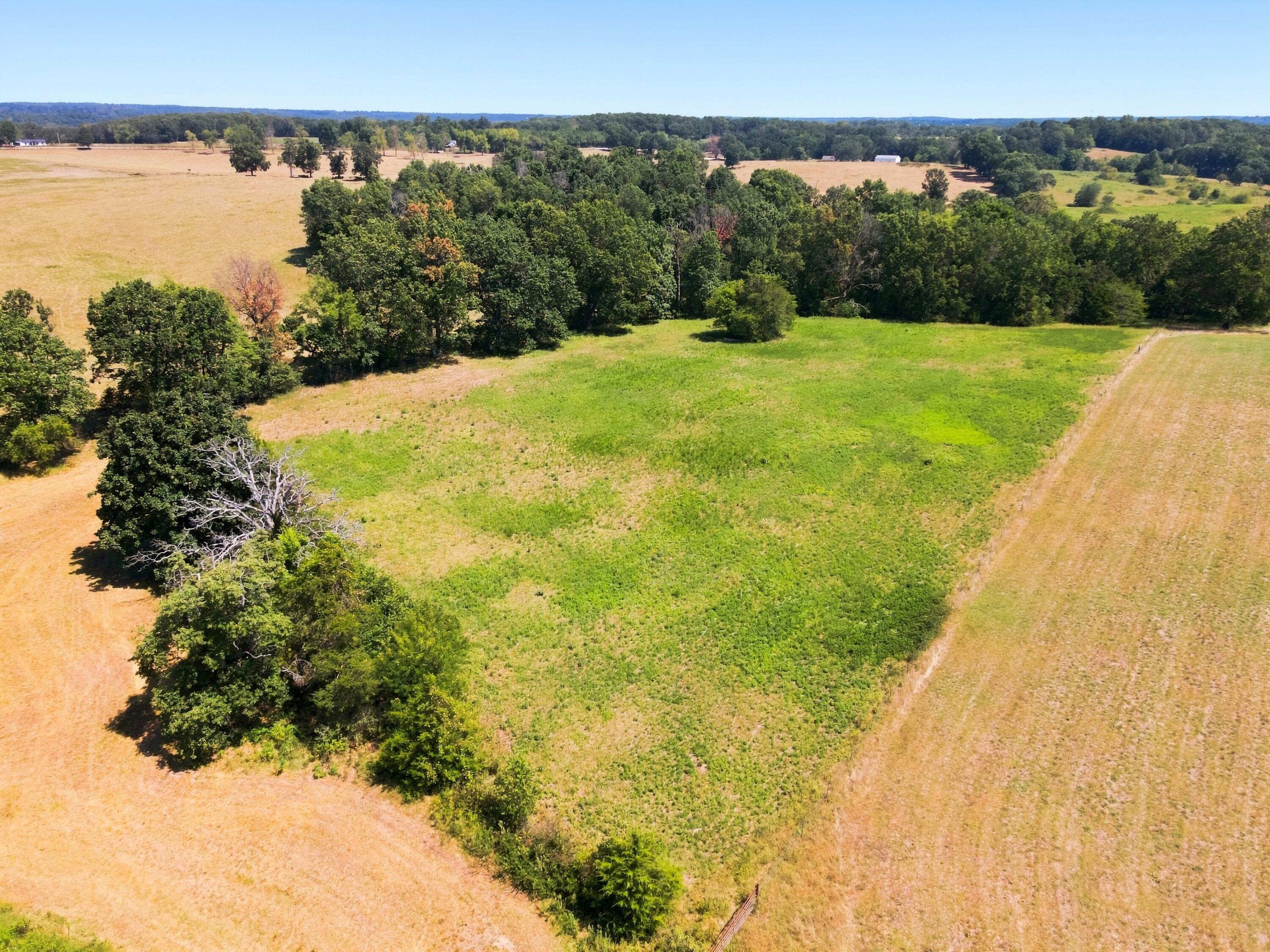 2158 State Highway Jj Property Photo 16