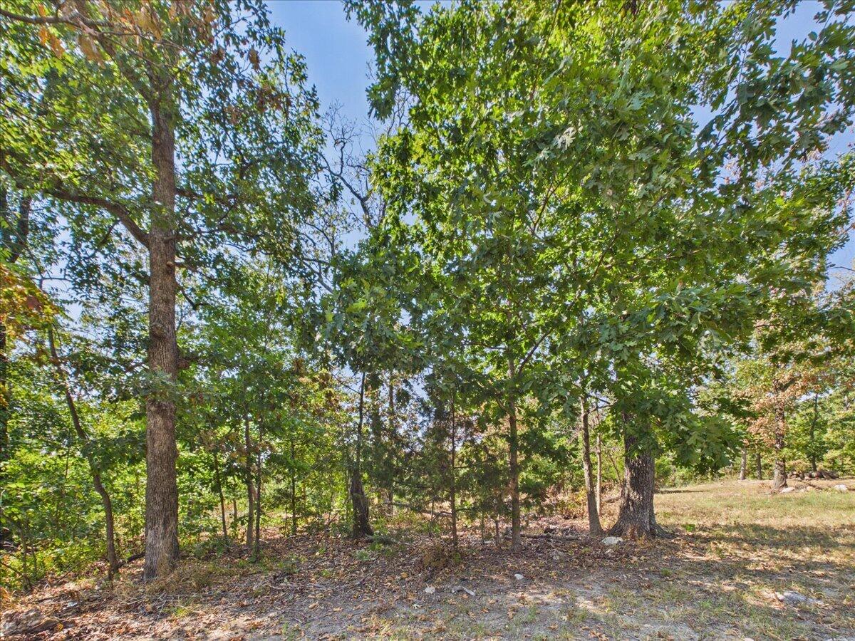 000 Wild Turkey Run Property Photo 1