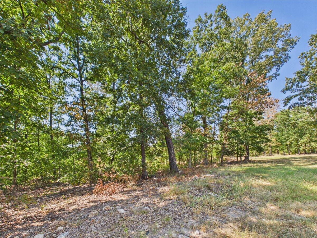 000 Wild Turkey Run Property Photo 3