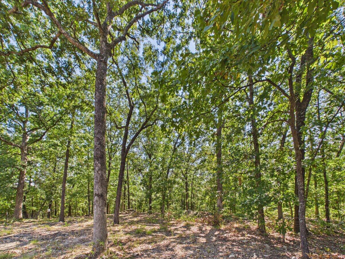000 Wild Turkey Run Property Photo 4