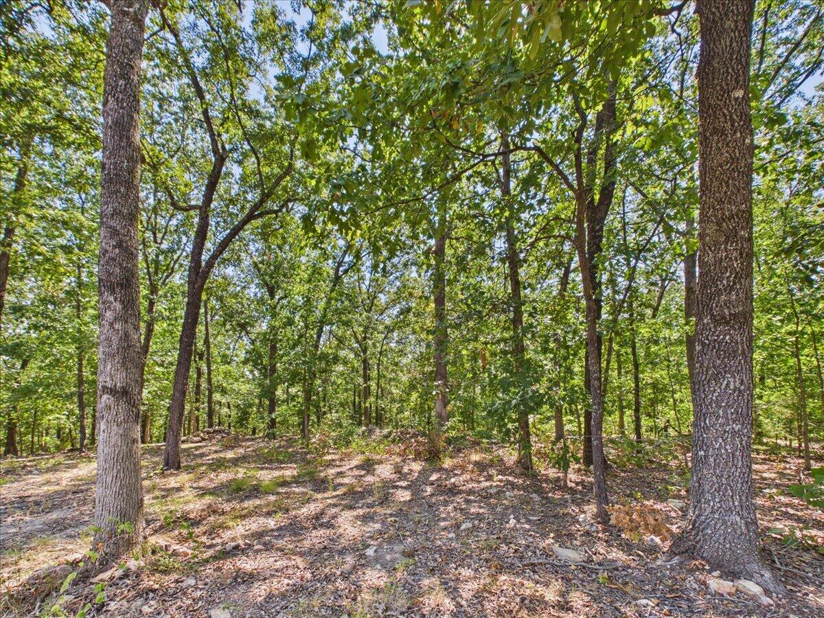 000 Wild Turkey Run Property Photo 5