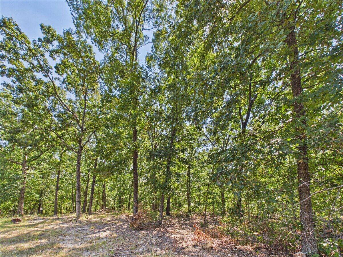 000 Wild Turkey Run Property Photo 6
