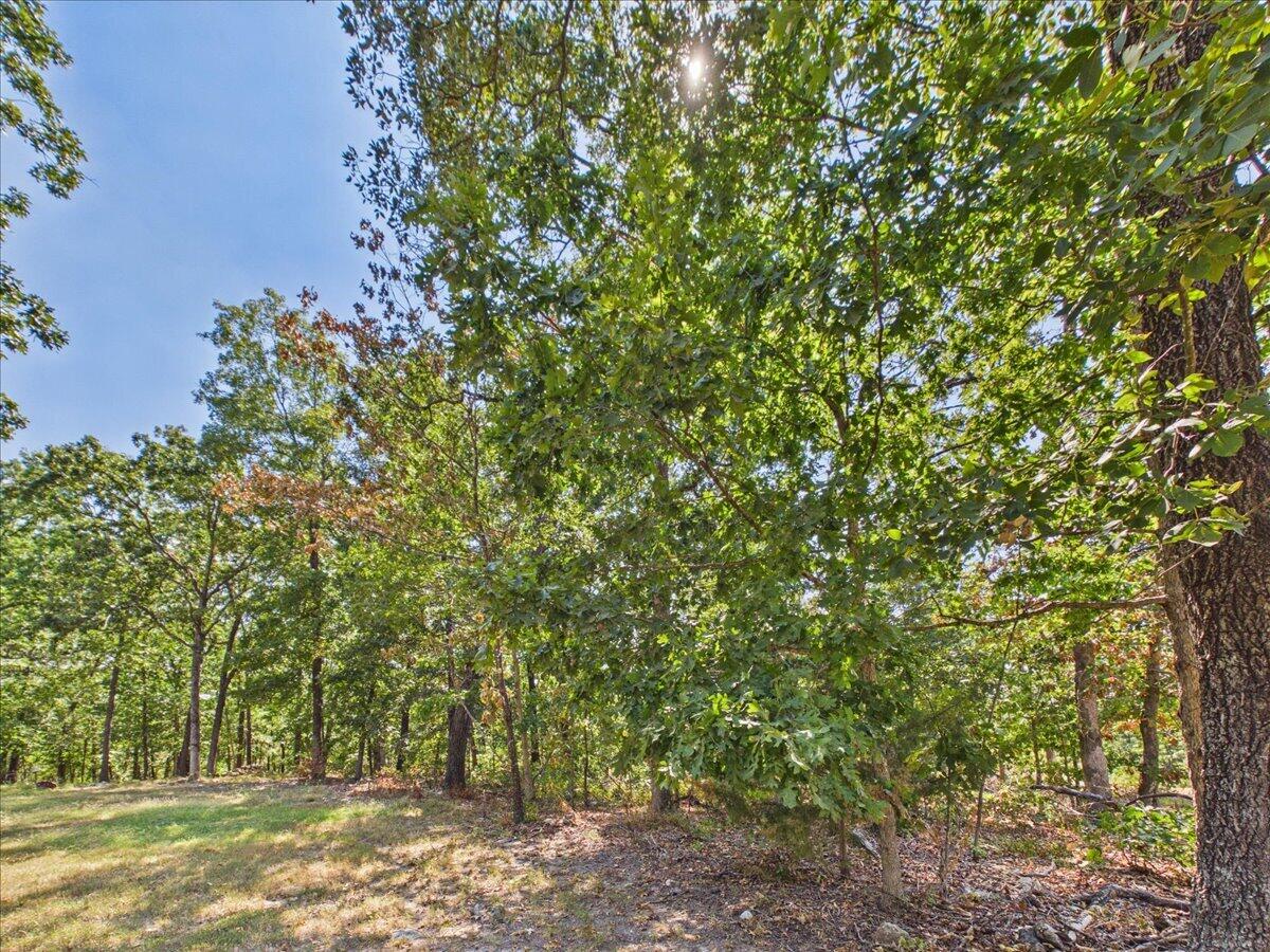 000 Wild Turkey Run Property Photo 7