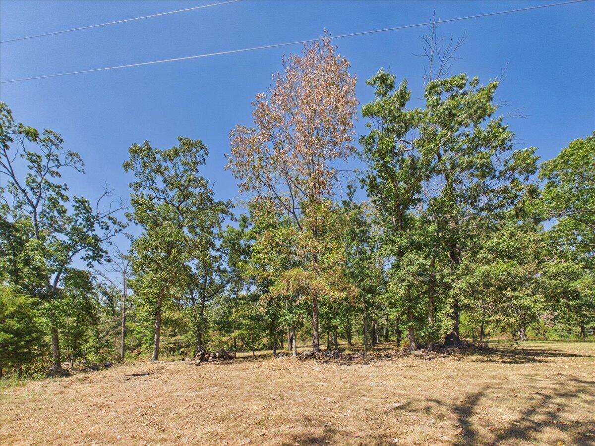 000 Wild Turkey Run Property Photo 8
