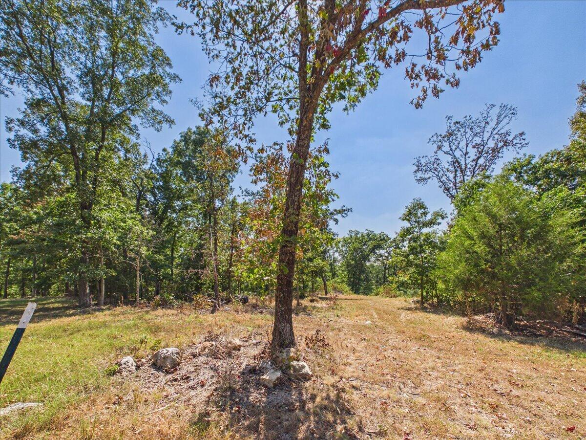 000 Wild Turkey Run Property Photo 10