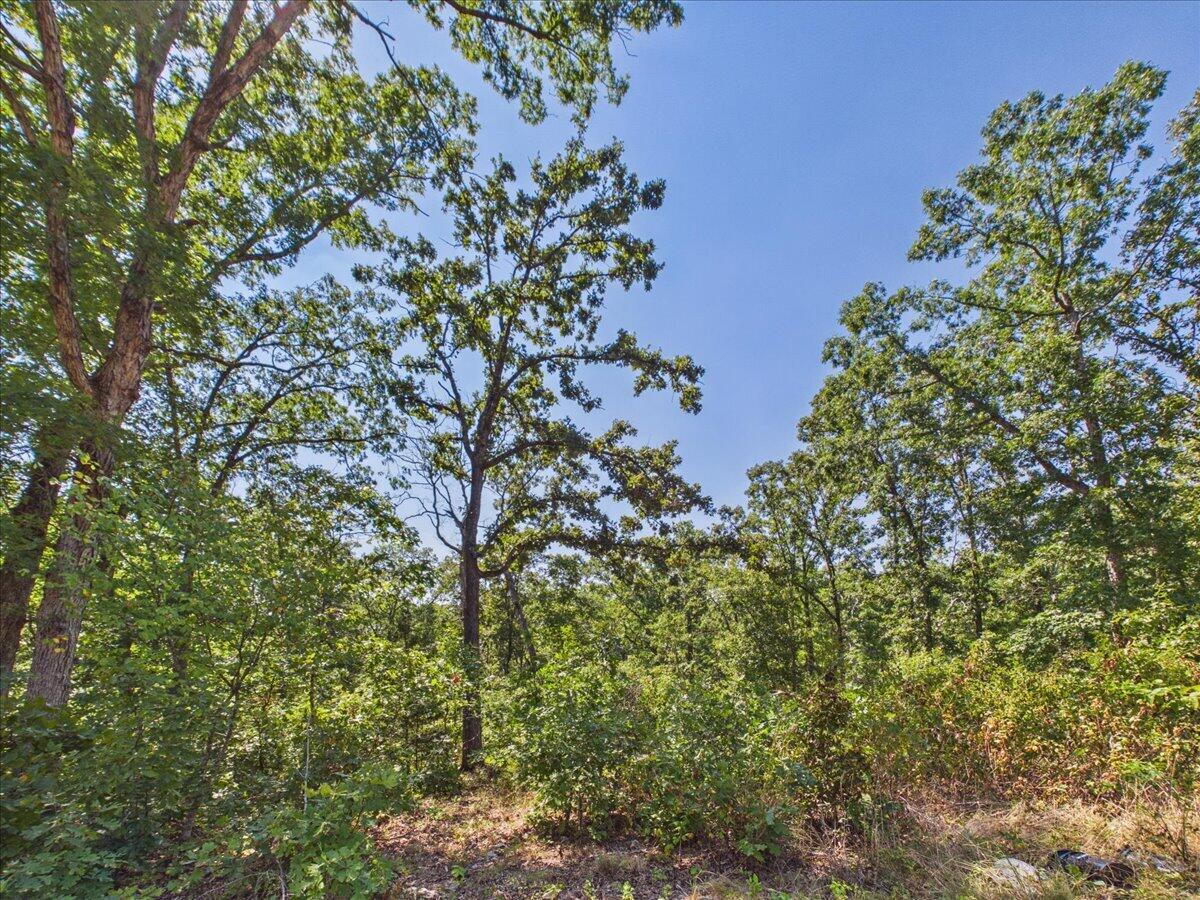 000 Wild Turkey Run Property Photo 11