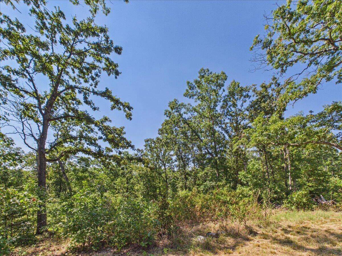 000 Wild Turkey Run Property Photo 12