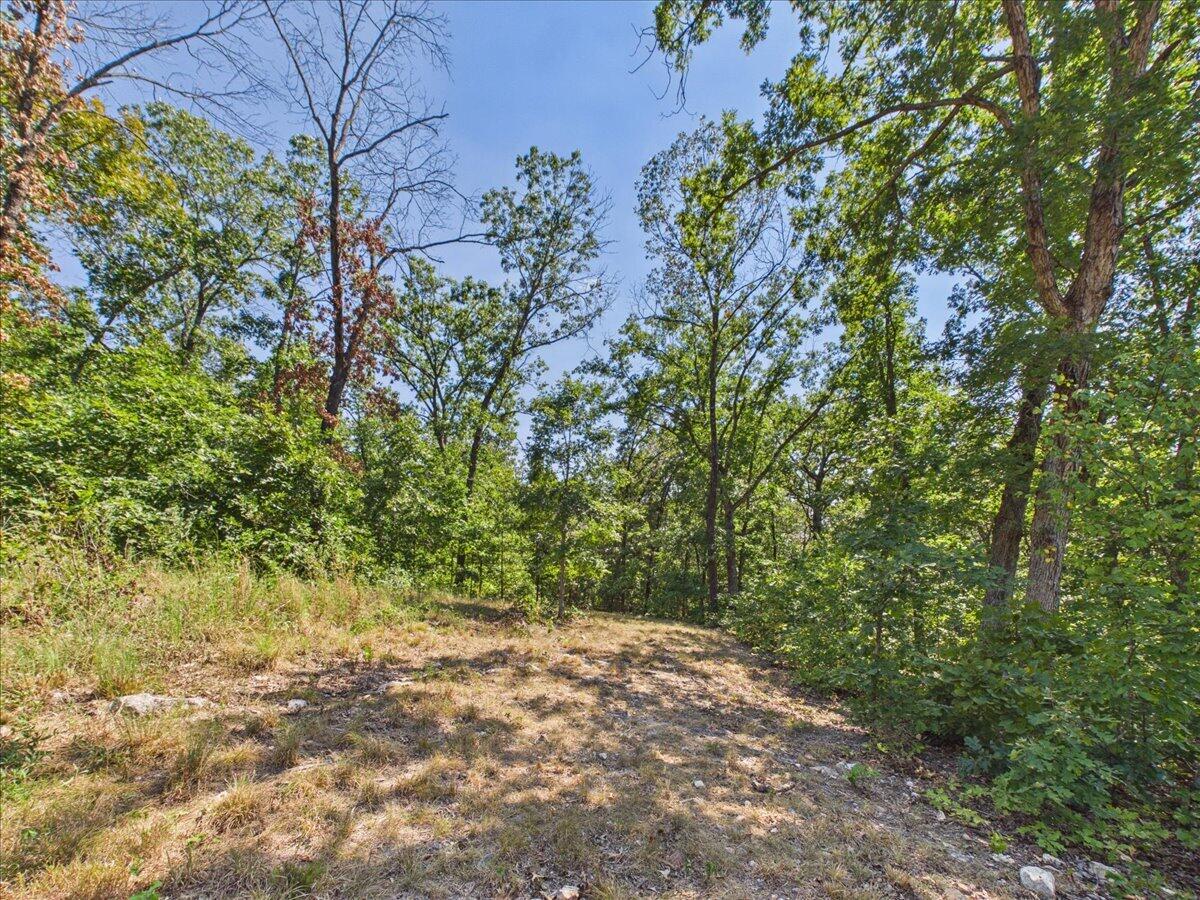 000 Wild Turkey Run Property Photo 14