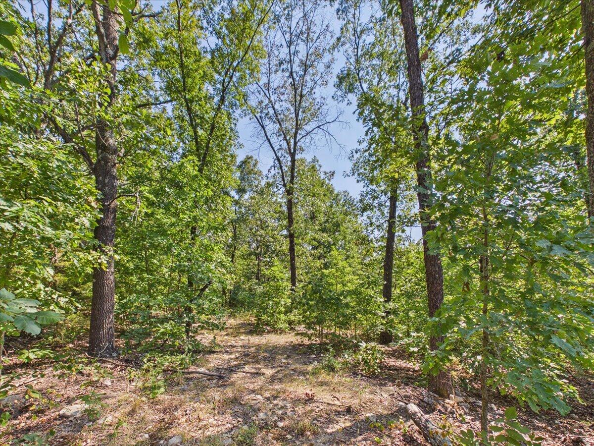 000 Wild Turkey Run Property Photo 15