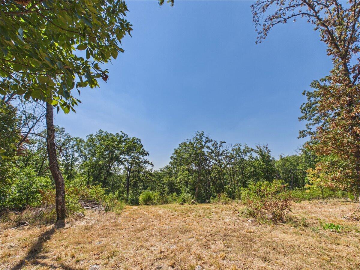 000 Wild Turkey Run Property Photo 17