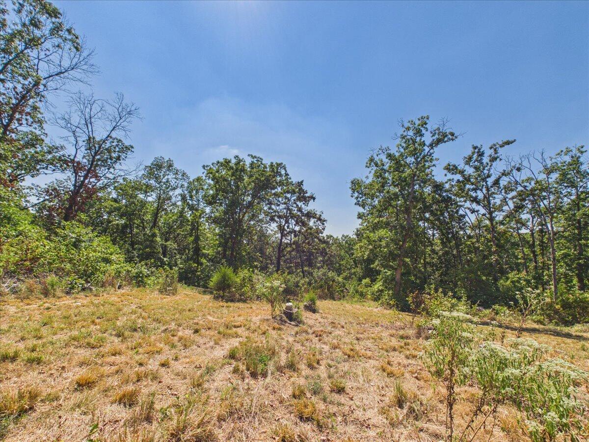 000 Wild Turkey Run Property Photo 18