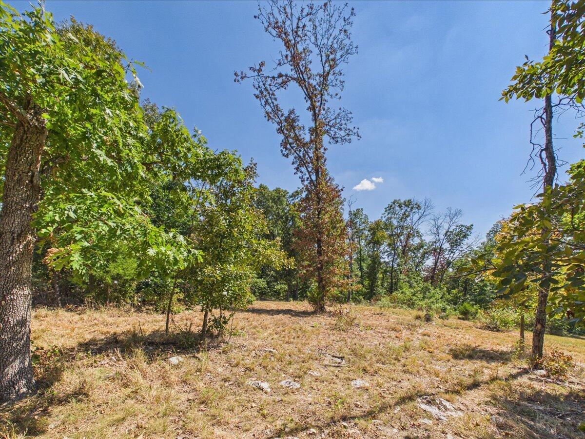 000 Wild Turkey Run Property Photo 19