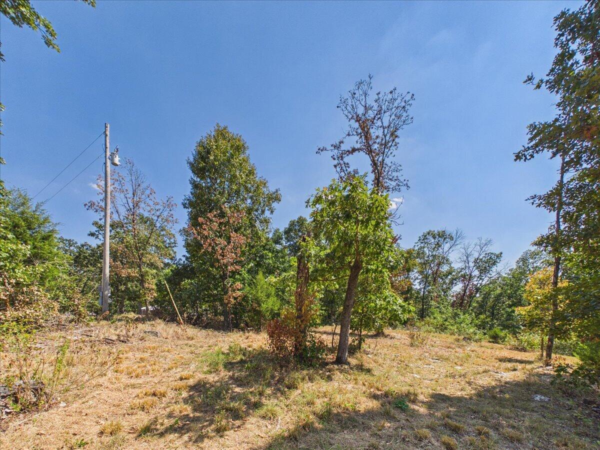 000 Wild Turkey Run Property Photo 20