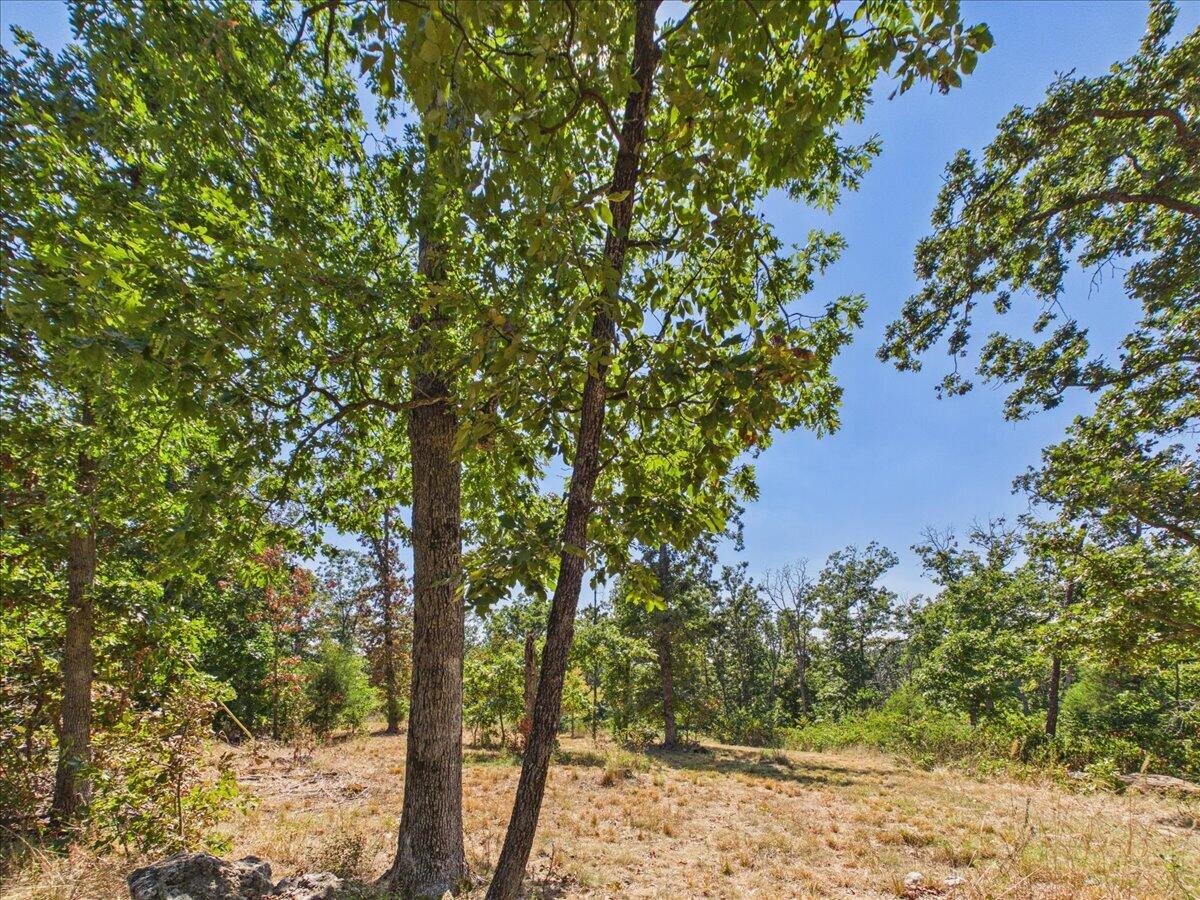 000 Wild Turkey Run Property Photo 21