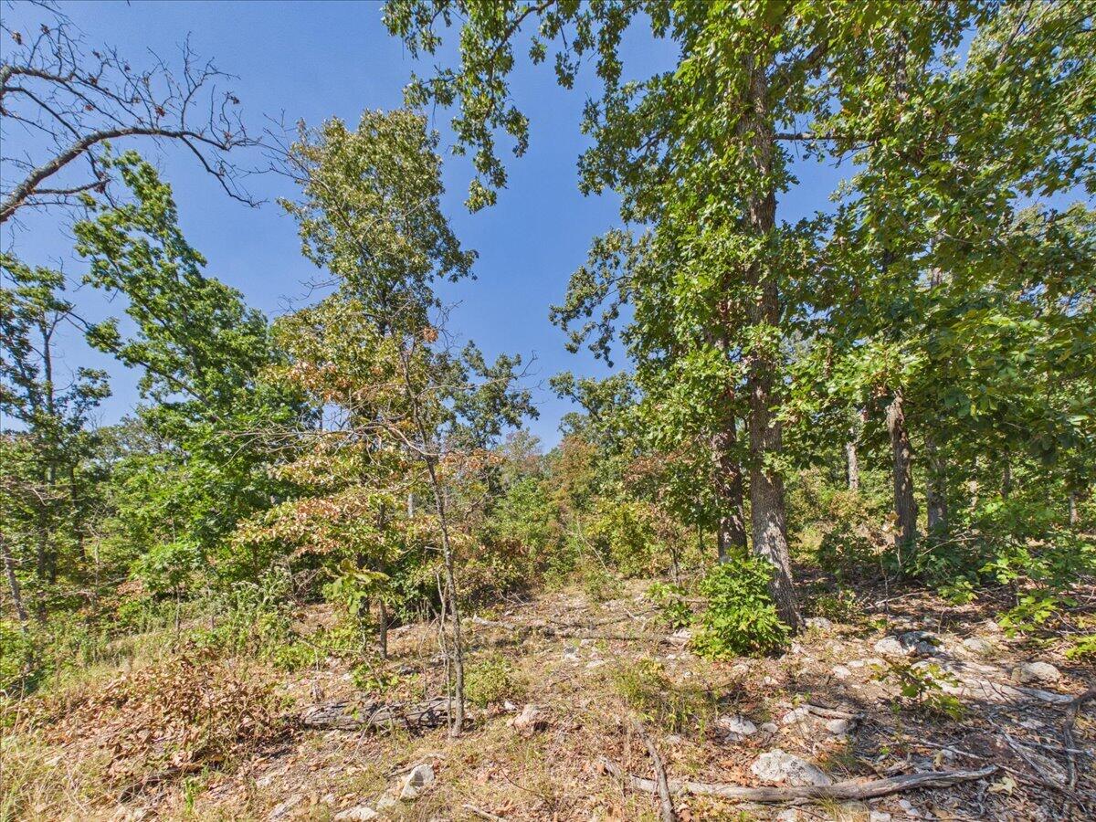000 Wild Turkey Run Property Photo 22