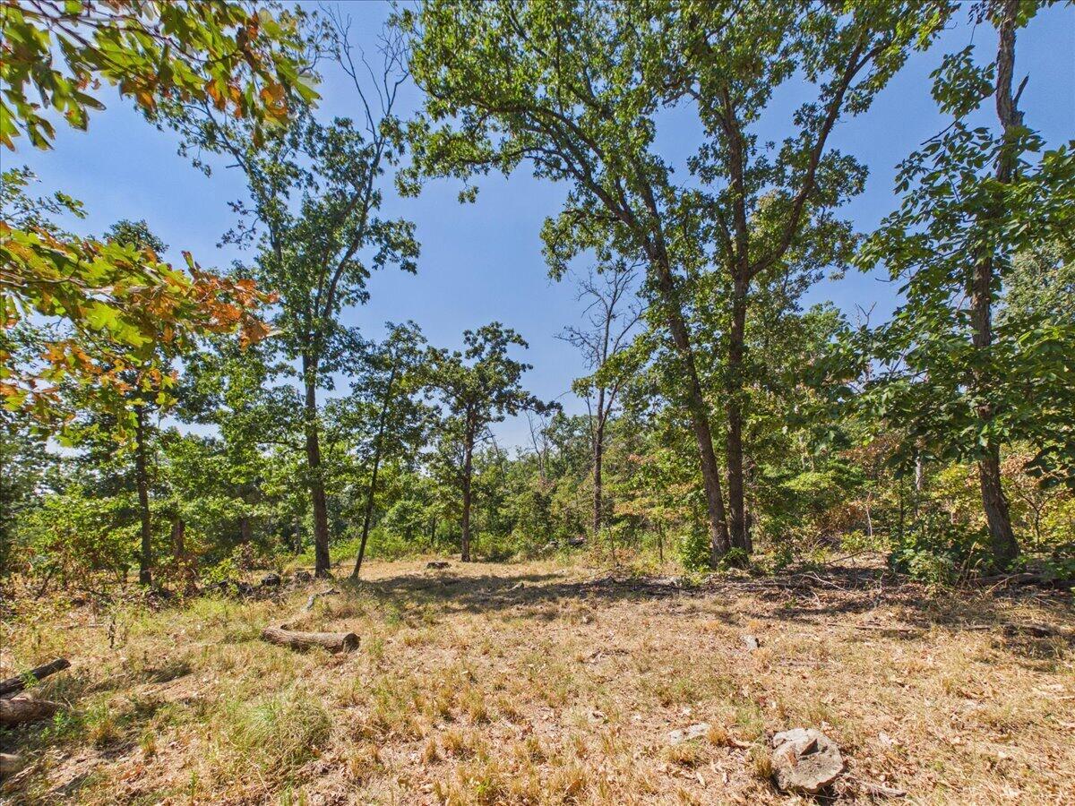 000 Wild Turkey Run Property Photo 23