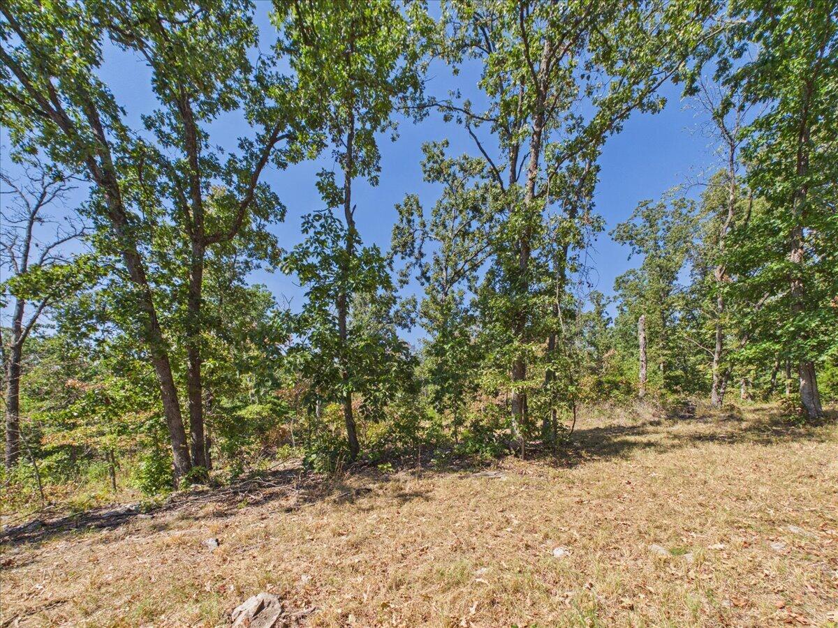 000 Wild Turkey Run Property Photo 24