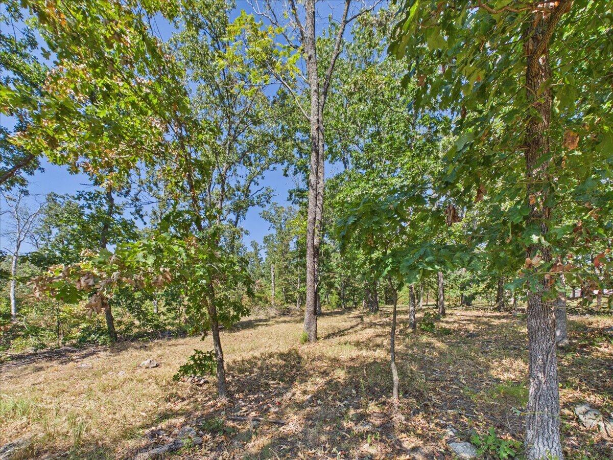 000 Wild Turkey Run Property Photo 25
