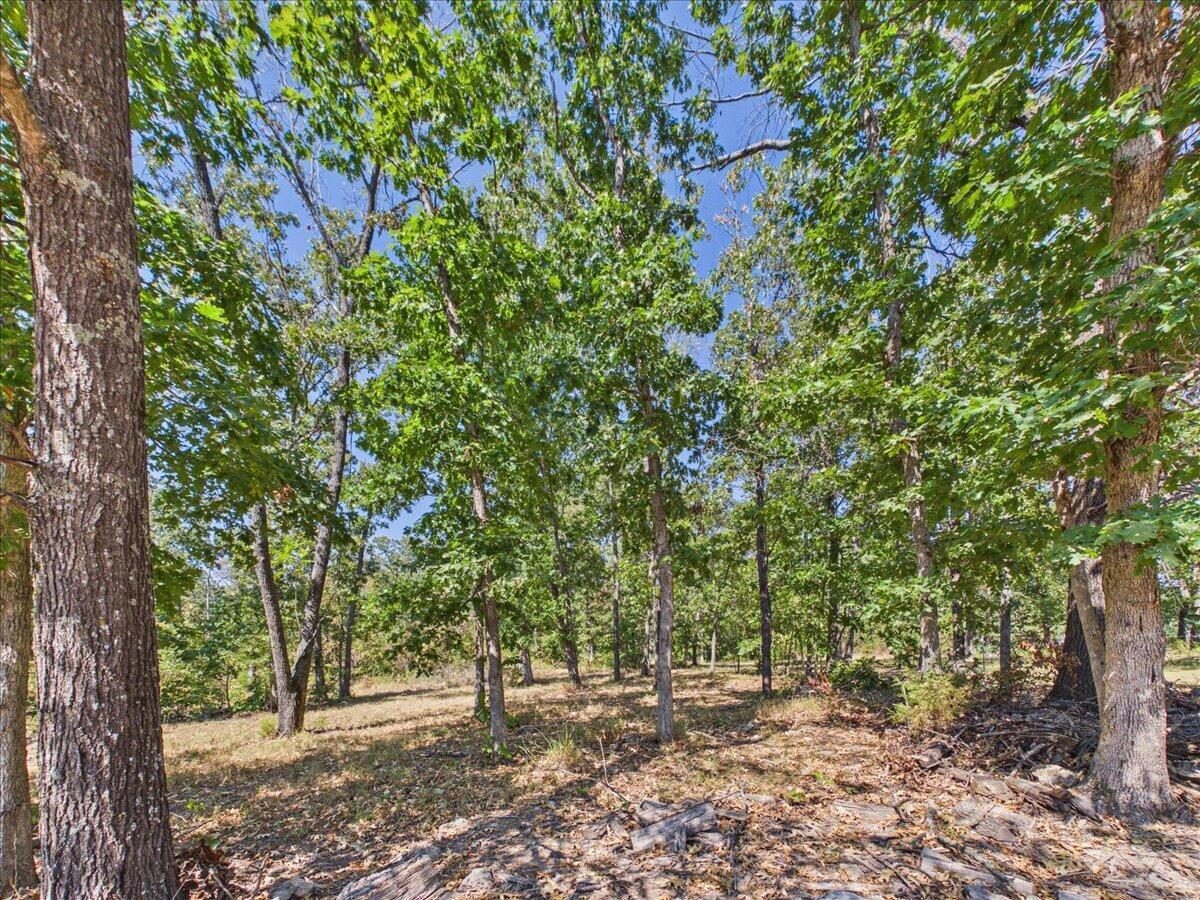 000 Wild Turkey Run Property Photo 26