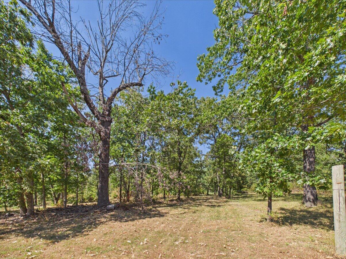 000 Wild Turkey Run Property Photo 28