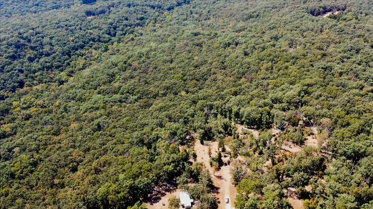 000 Wild Turkey Run Property Photo 29