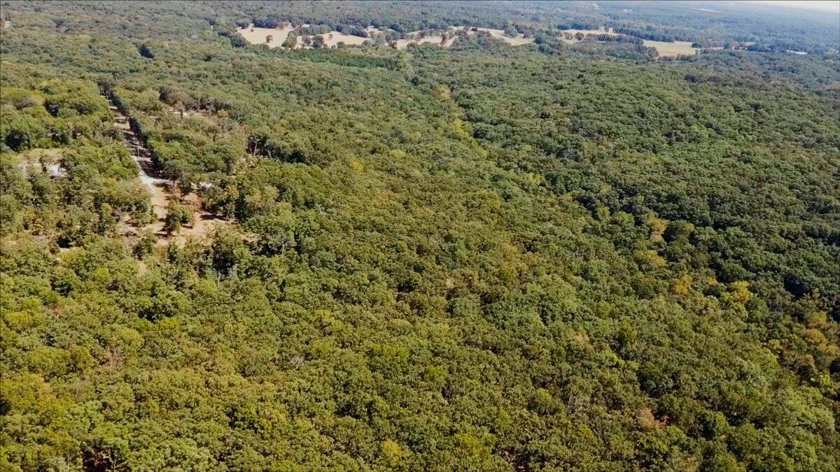 000 Wild Turkey Run Property Photo 30