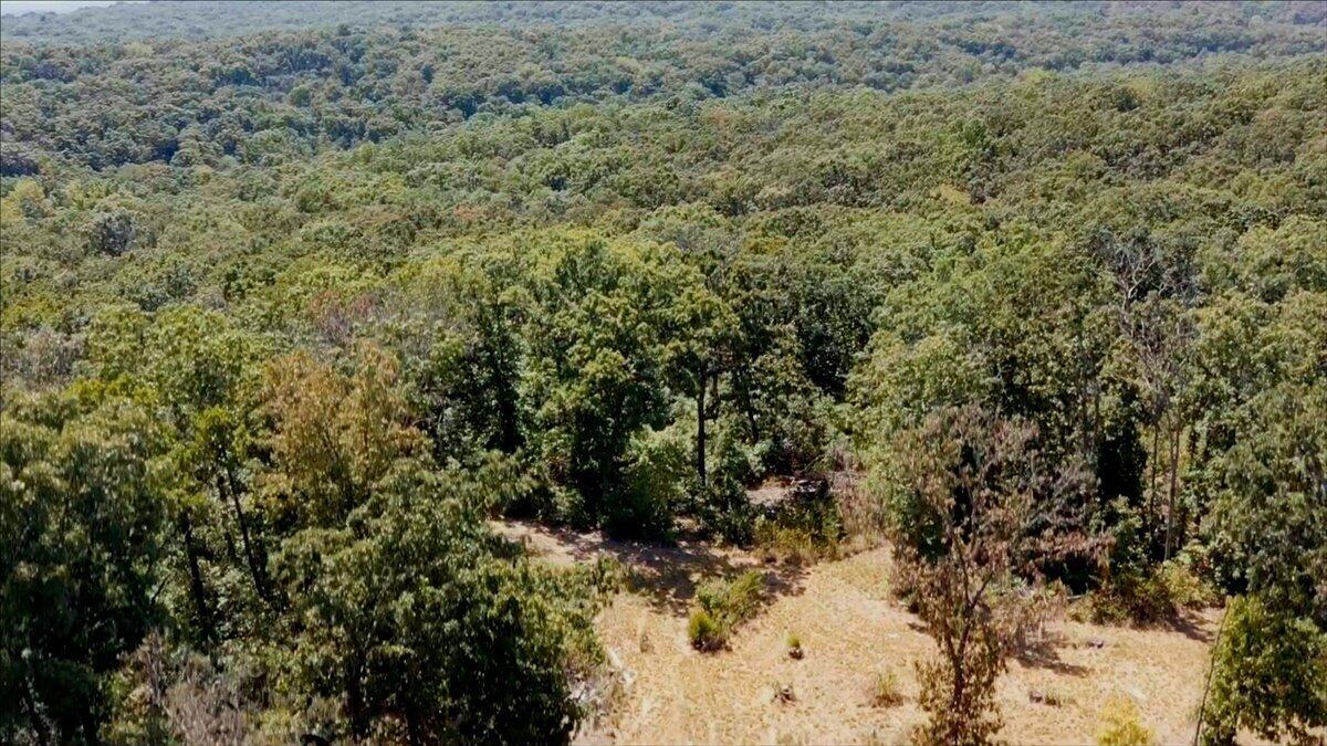 000 Wild Turkey Run Property Photo 31