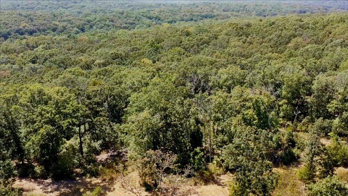 000 Wild Turkey Run Property Photo 32