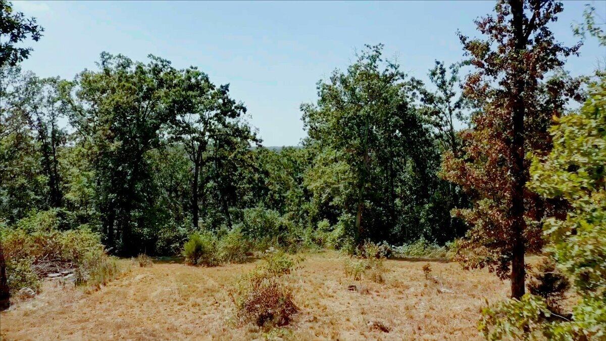 000 Wild Turkey Run Property Photo 33