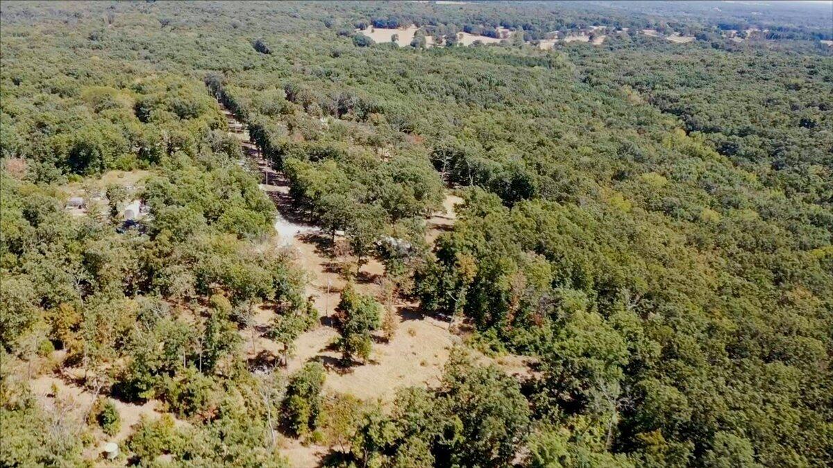 000 Wild Turkey Run Property Photo 34