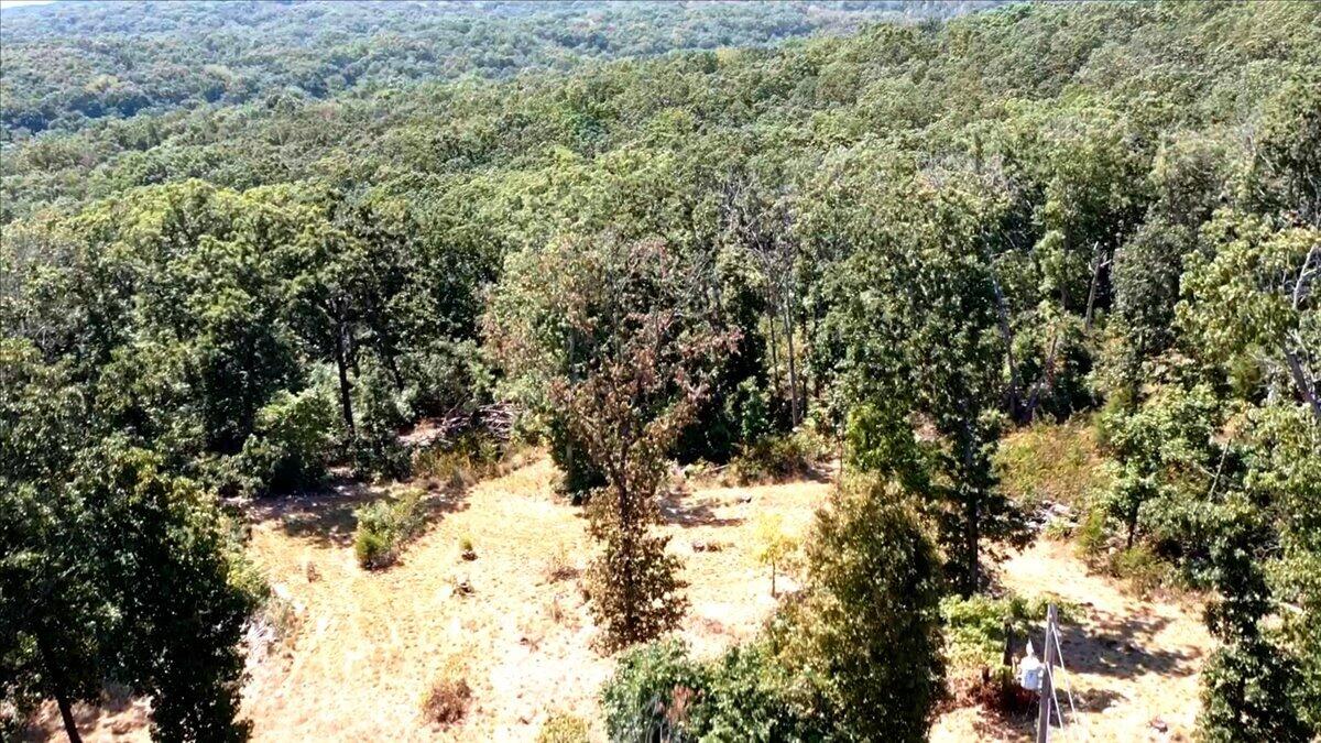 000 Wild Turkey Run Property Photo 35