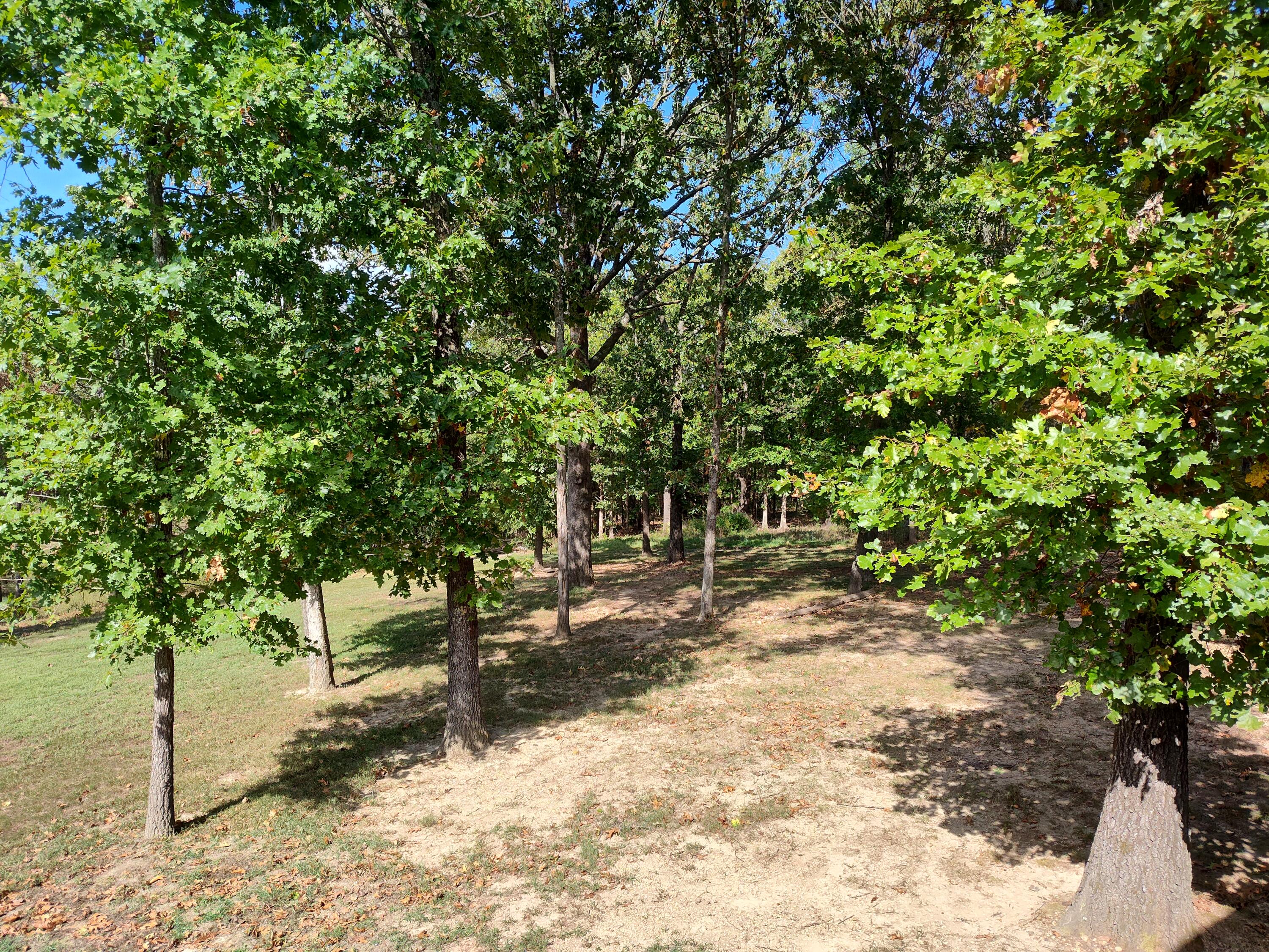 2373 East 540th Road Property Photo 38