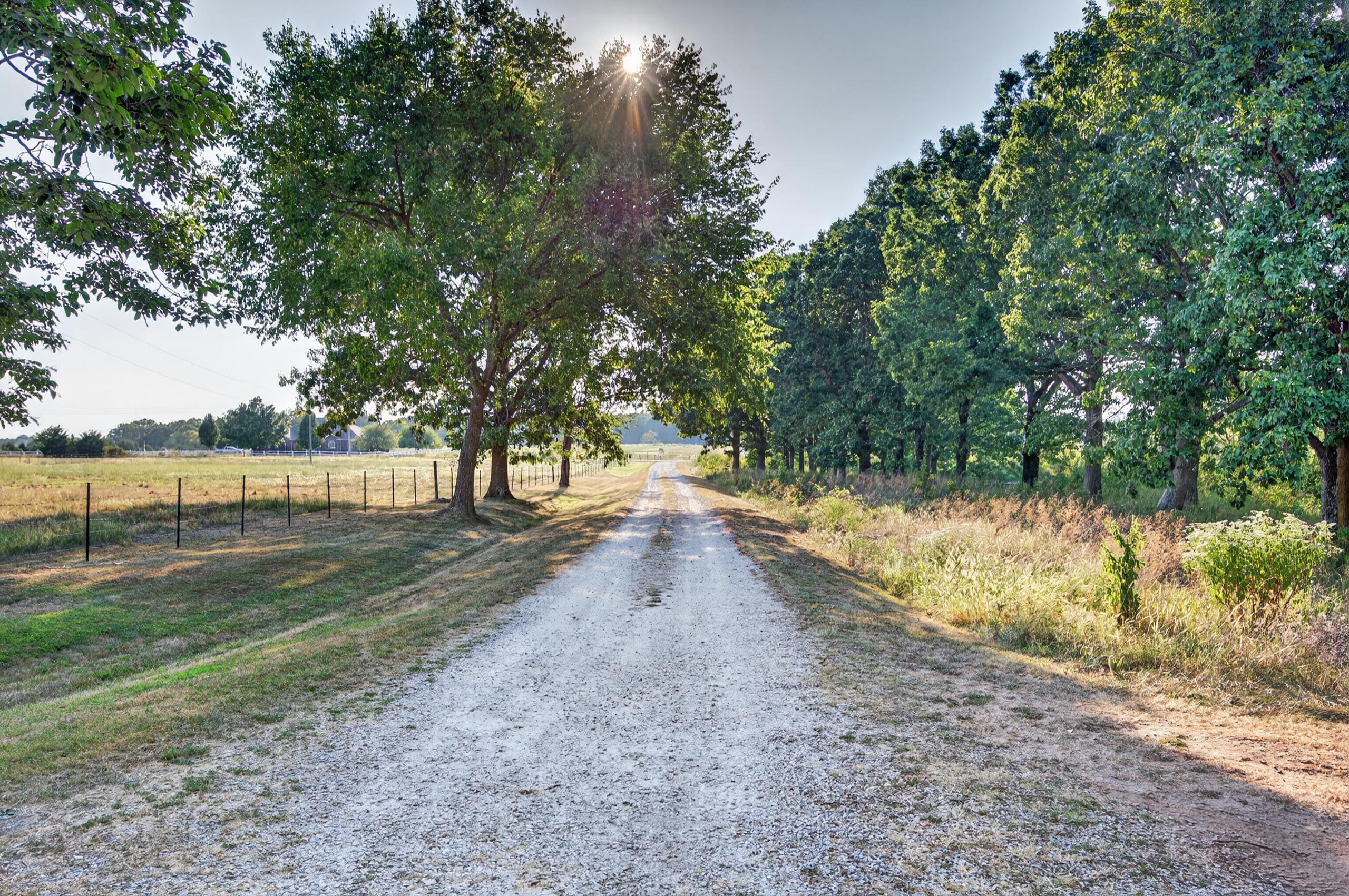 1938 Dark Valley Road Property Photo 51