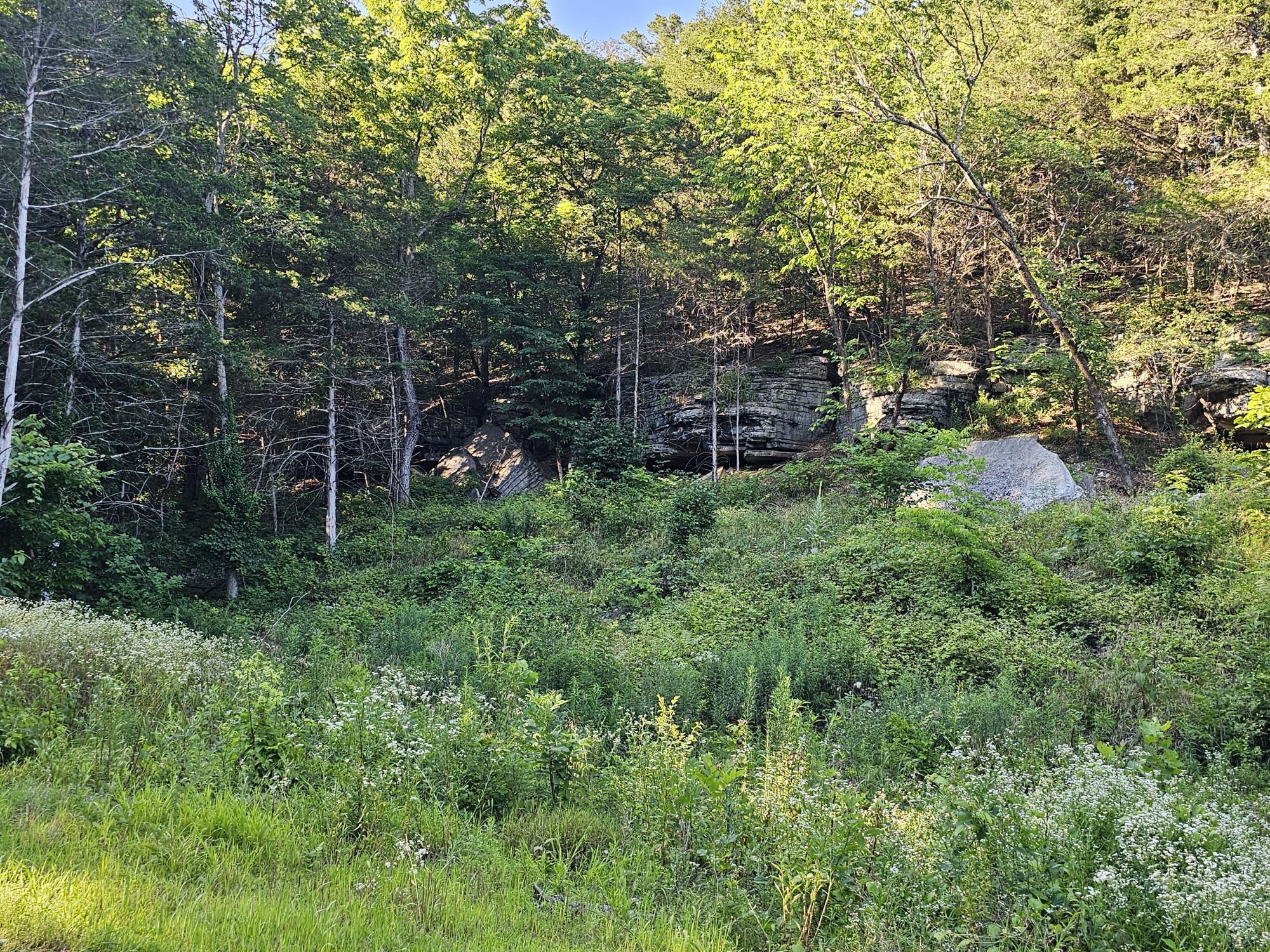14727 State Highway 59 Property Photo 1